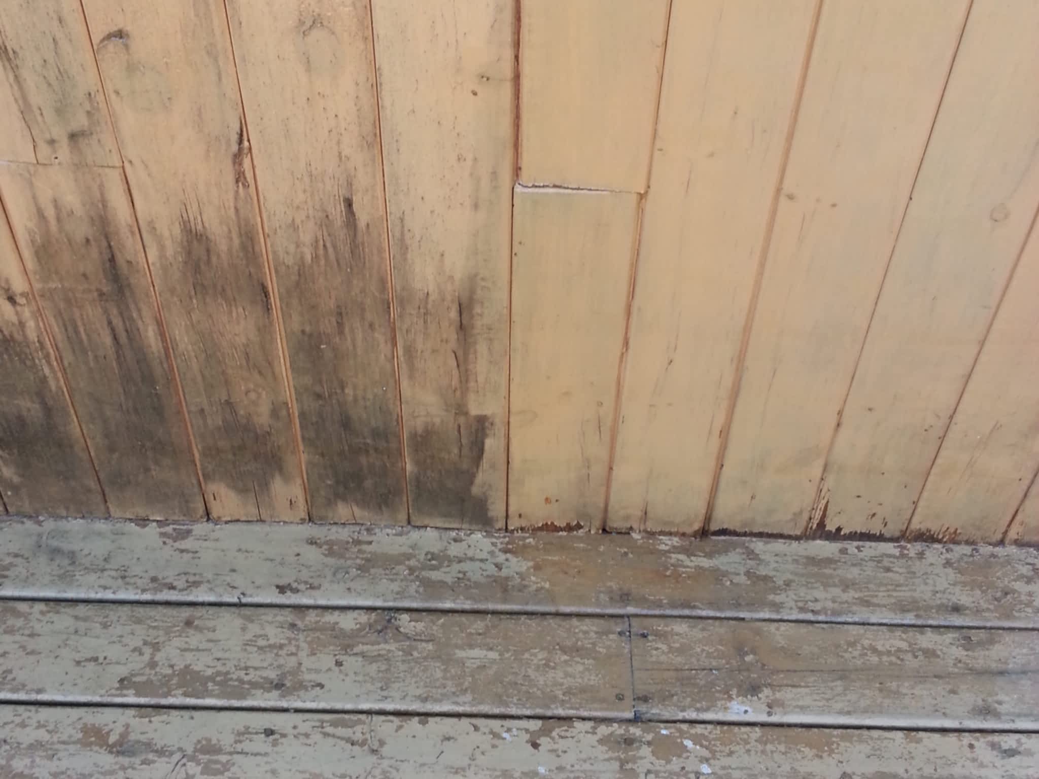 photo GFK - Solution Maison