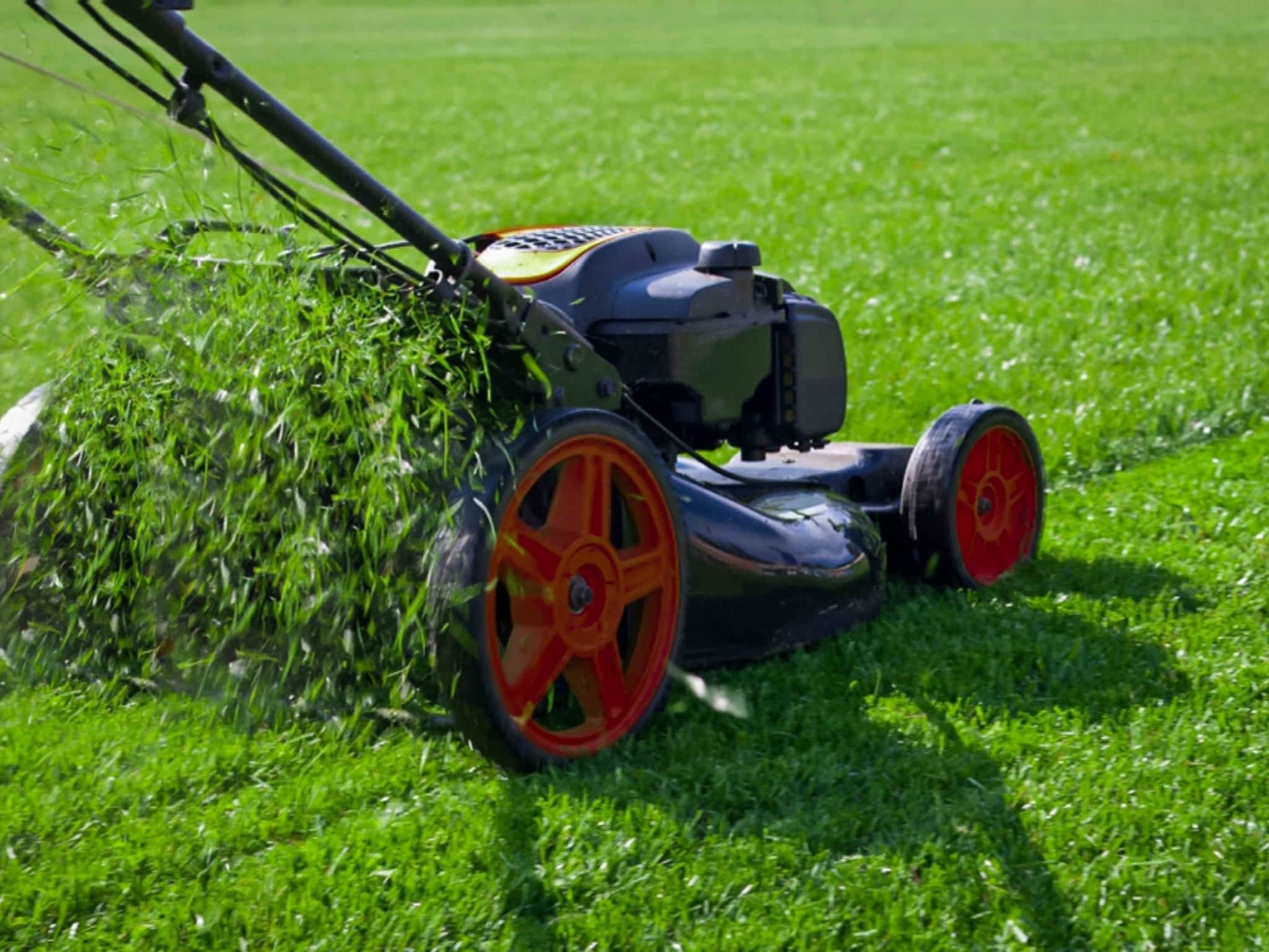 photo Upscale Landscaping