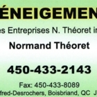 Les Entreprises N Théoret Inc - Snow Plowing & Clearing Services