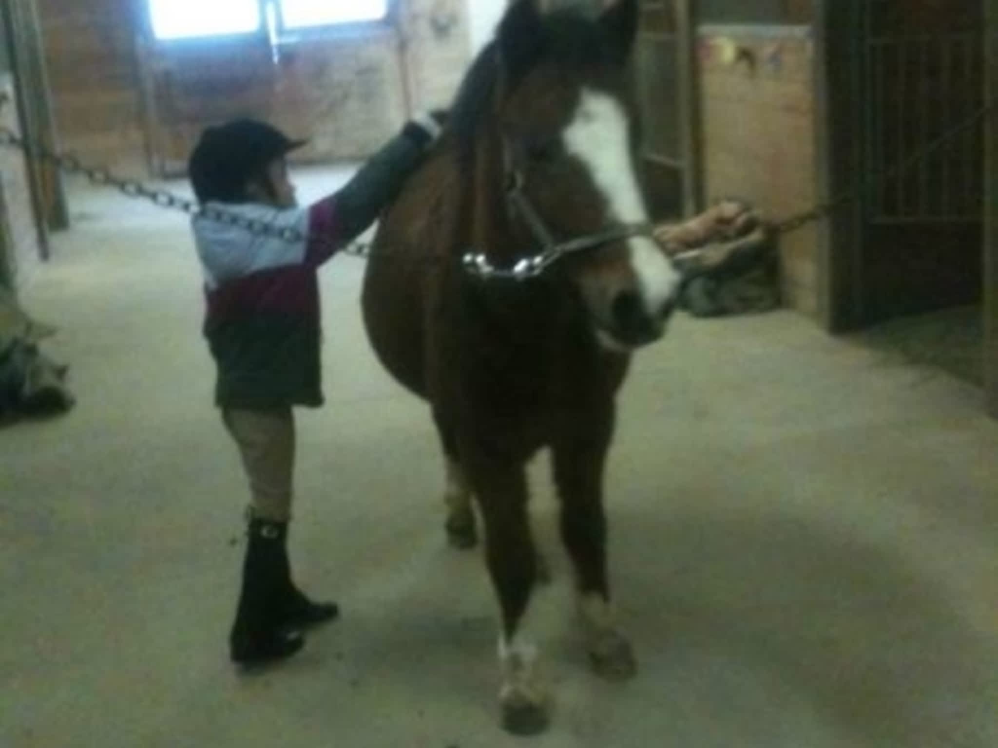 photo JL Equestrian Centre