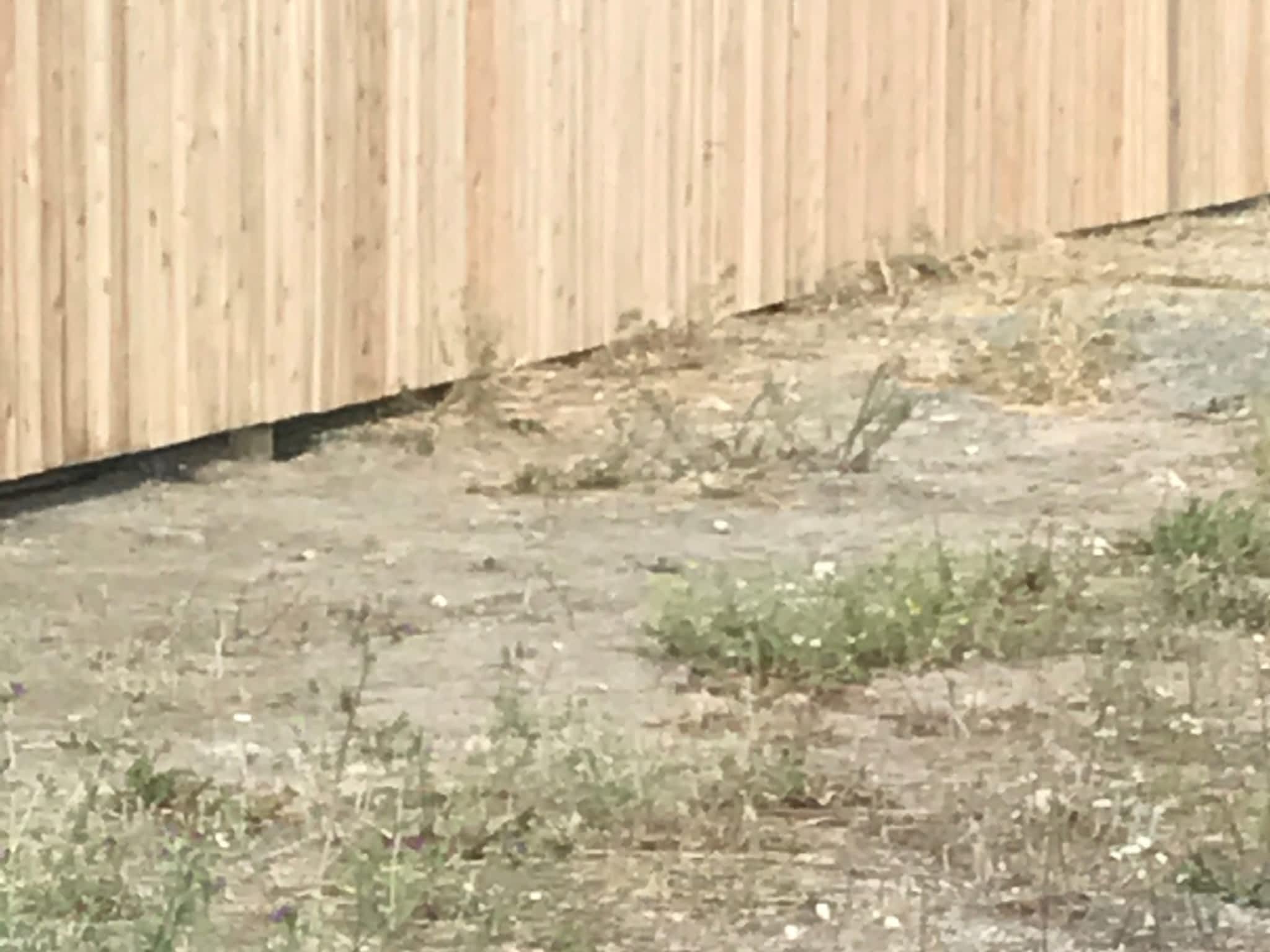 photo JD Contracting