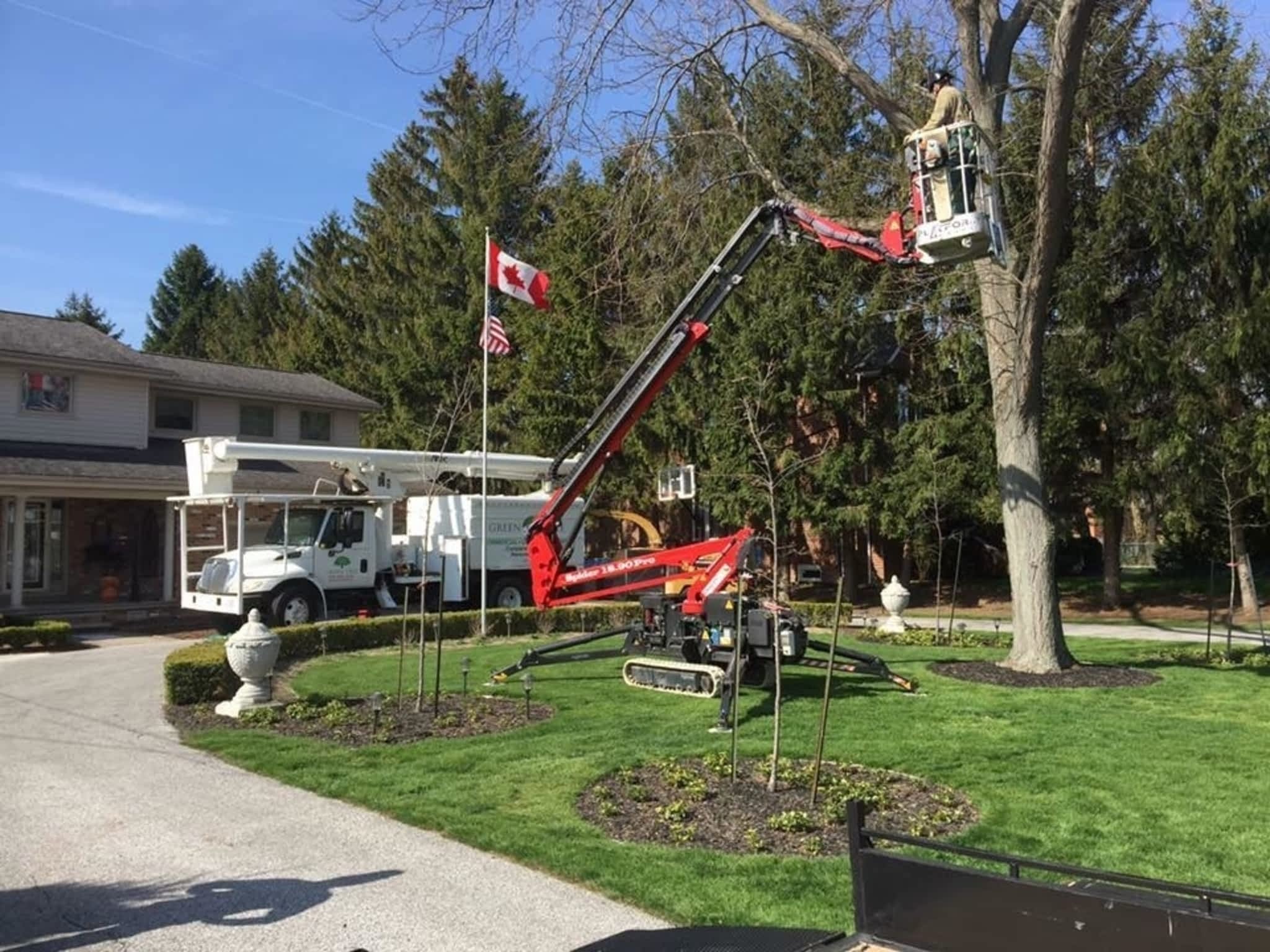 photo Green Tree Professional Tree Care & Preservation