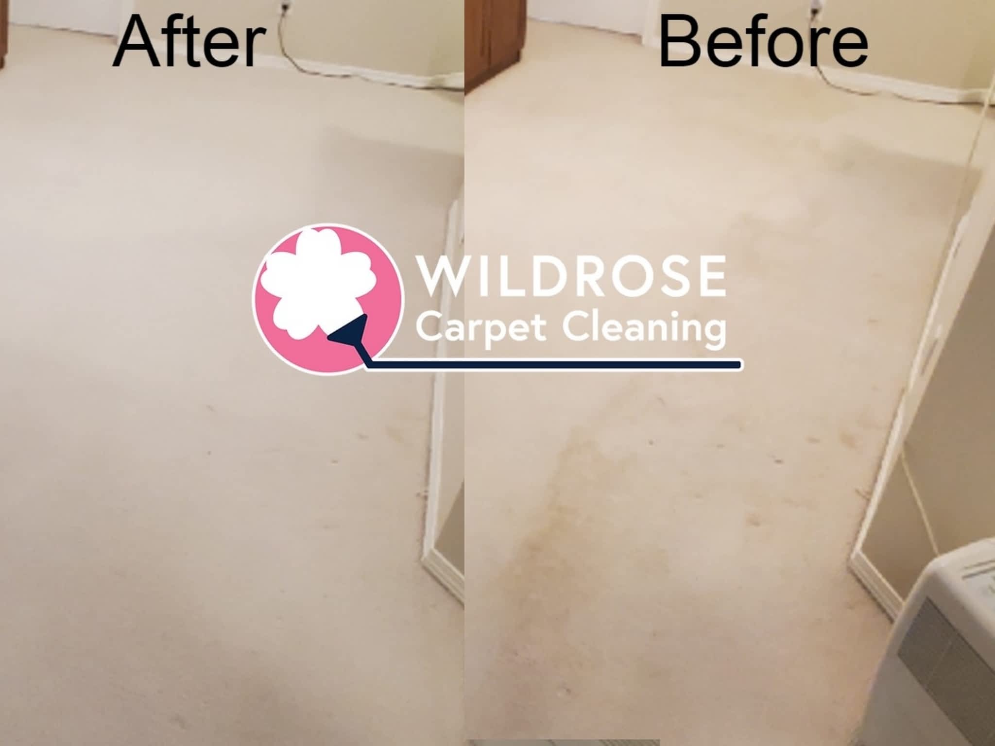 photo Wildrose Carpet Cleaning