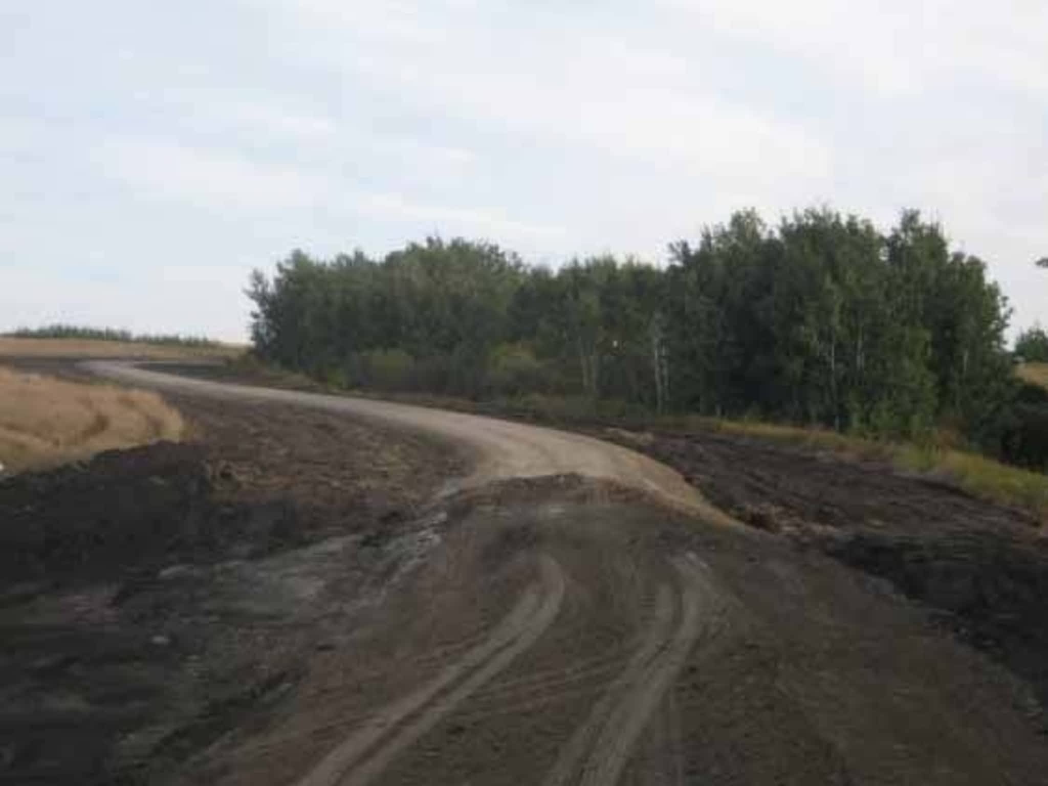 photo Elliott Cats Ltd