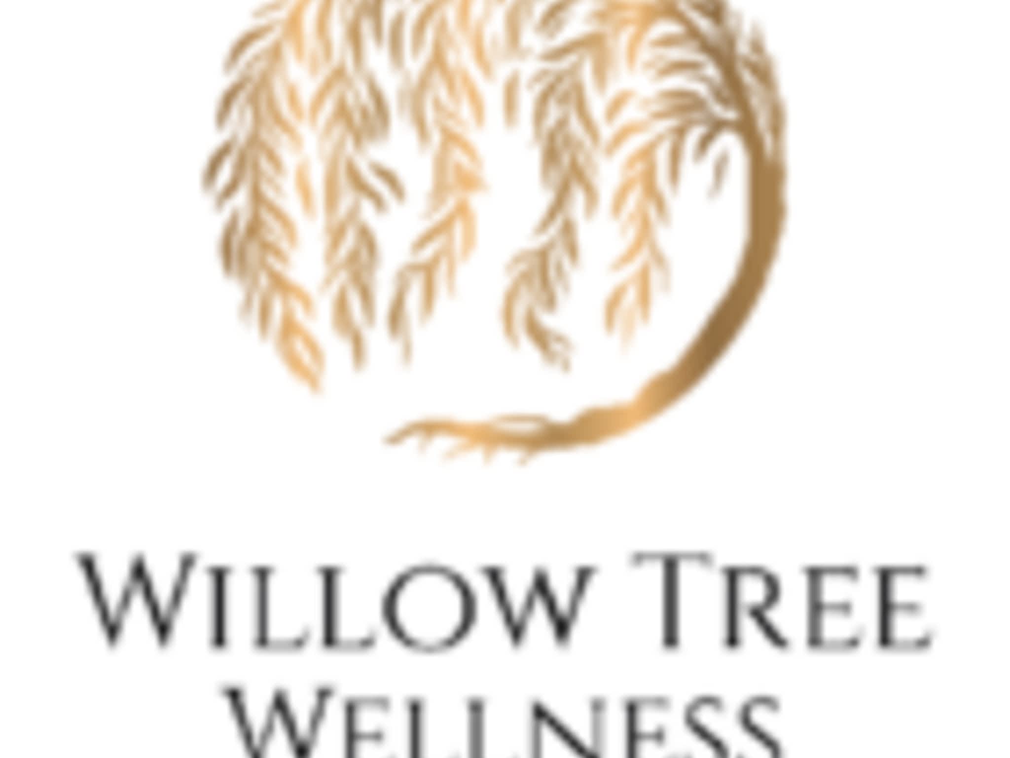 photo Willow Tree Wellness
