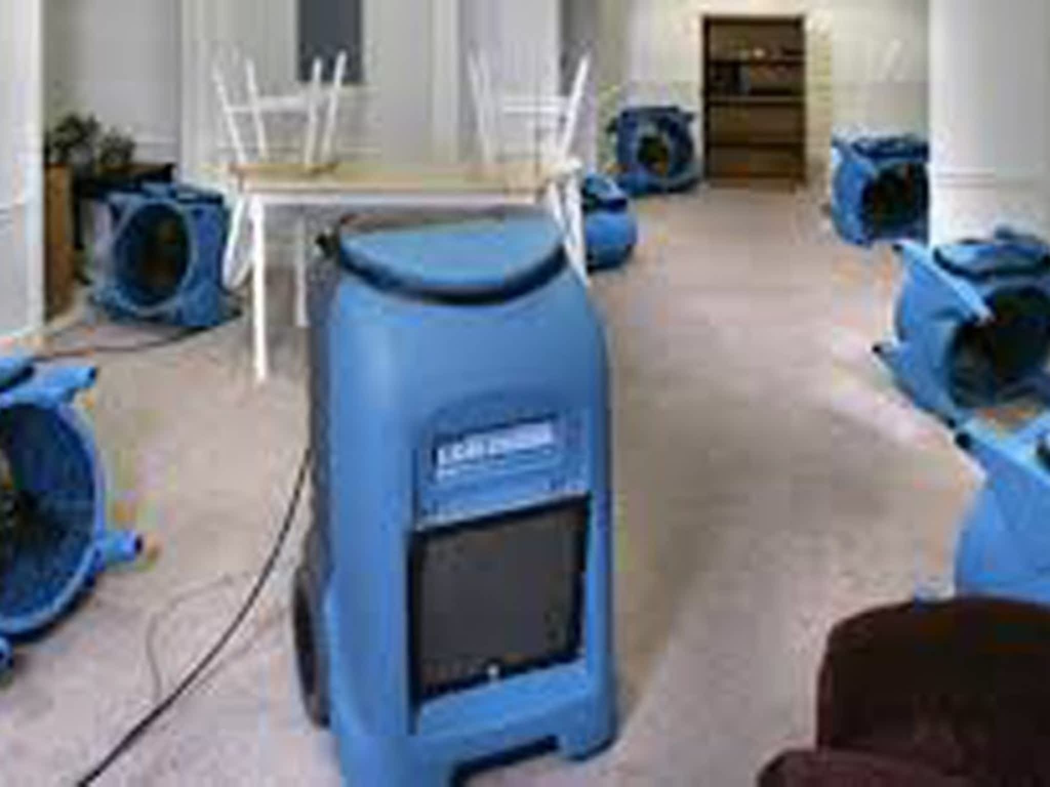 photo 1 Touch Carpet Care