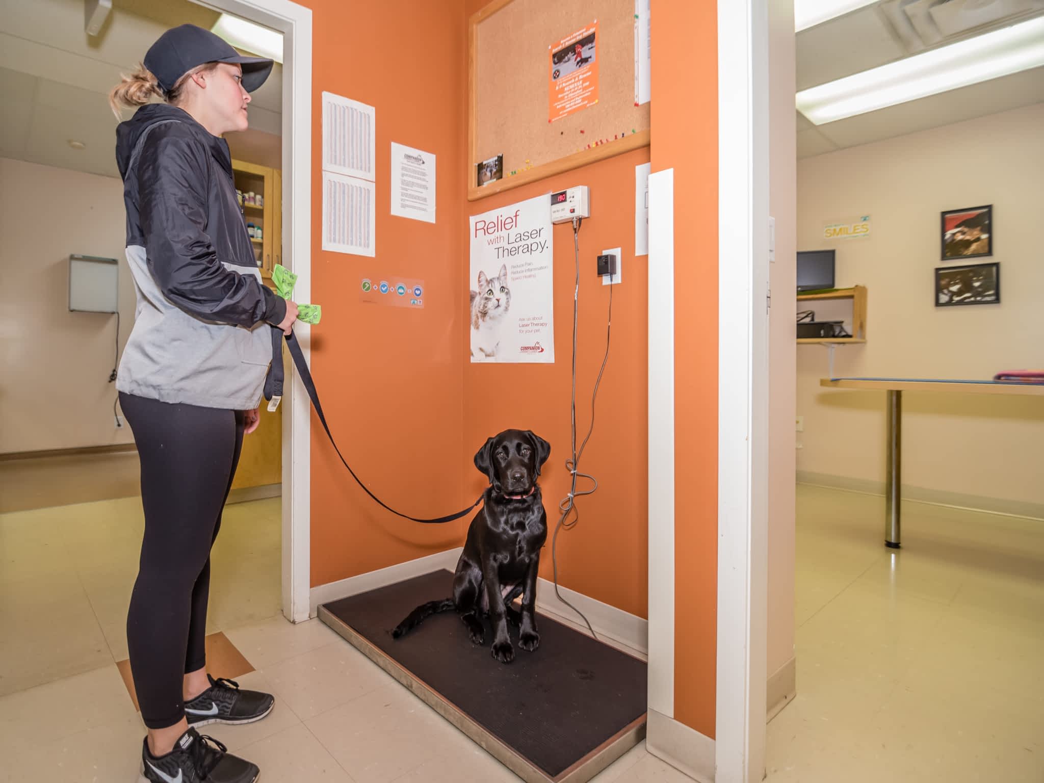 photo Vedder Mountain Veterinary Clinic