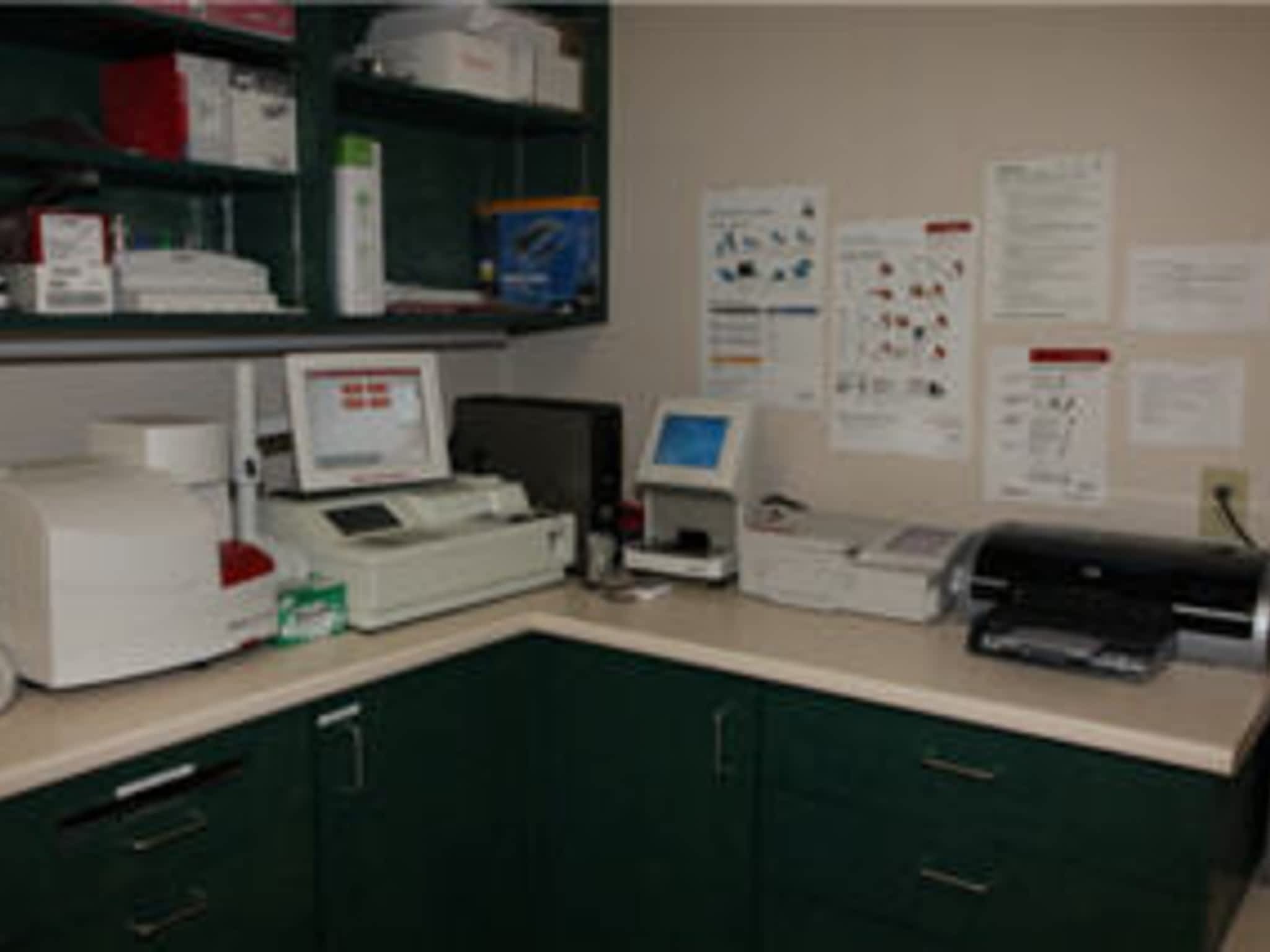photo Burnaby Veterinary Hospital