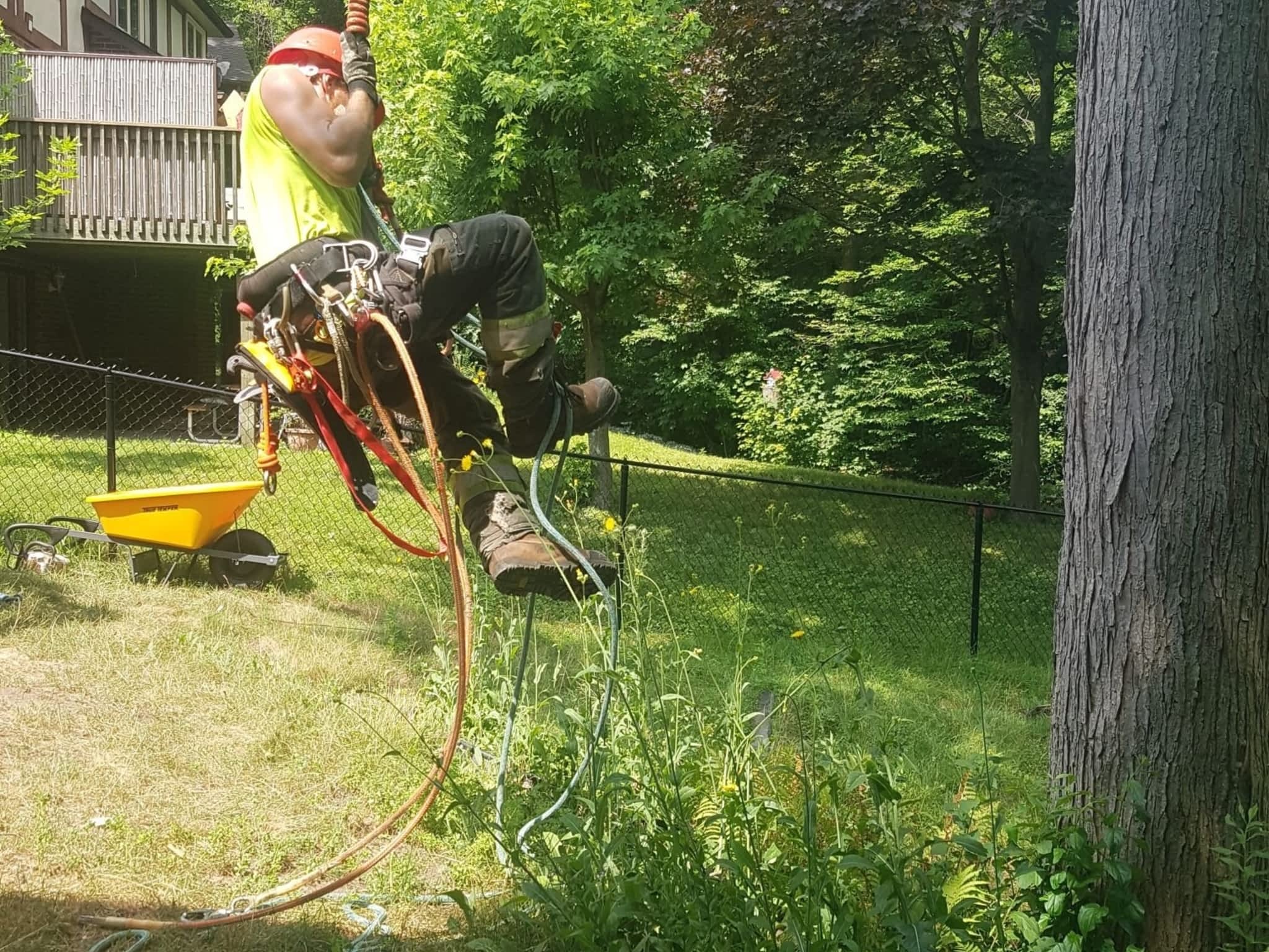 photo Wright's Tree Care