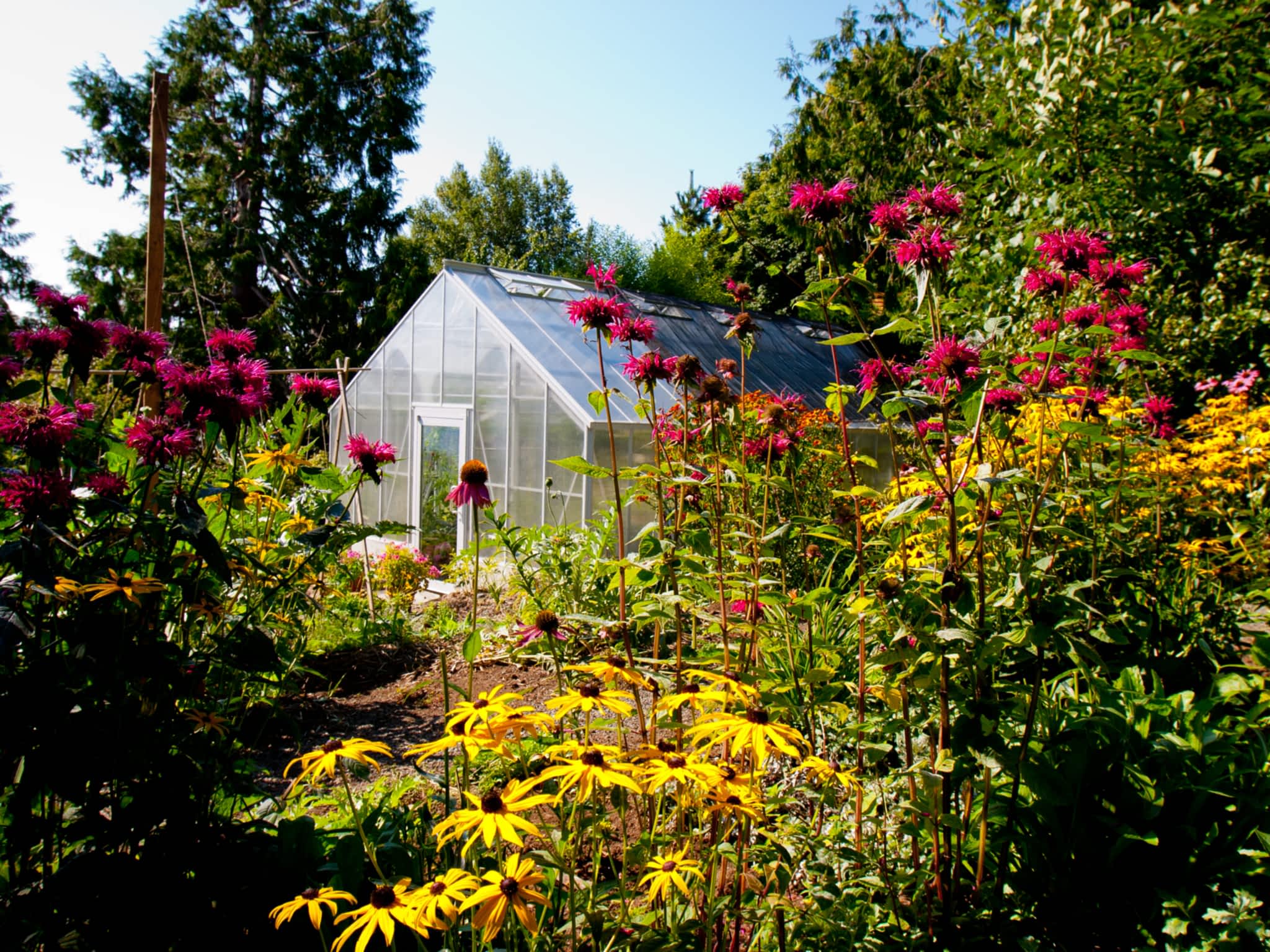 BC Greenhouse Builders Ltd Surrey, BC 19087 39 Ave Canpages