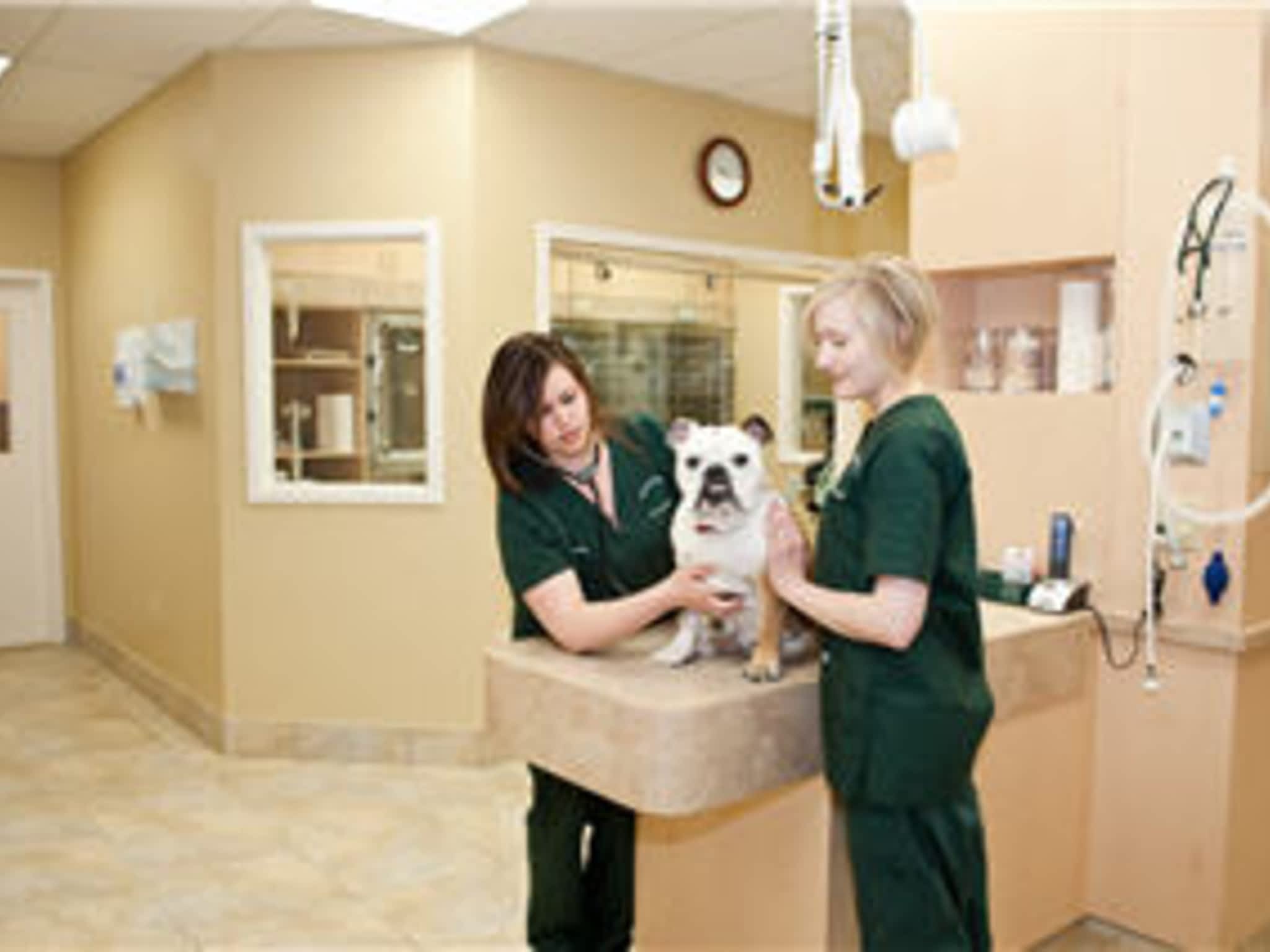 photo Westbridge Veterinary Hospital