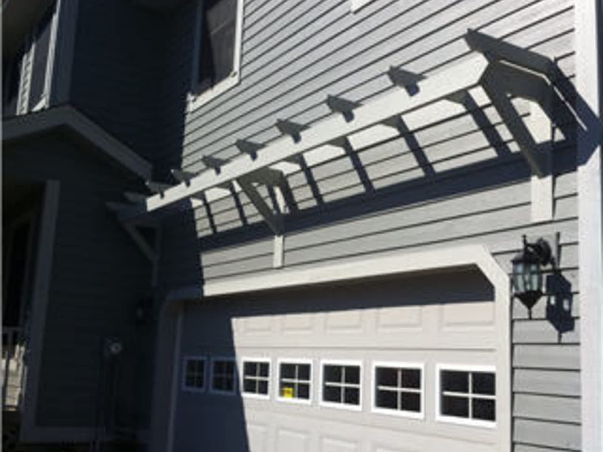 photo The Picky Painter