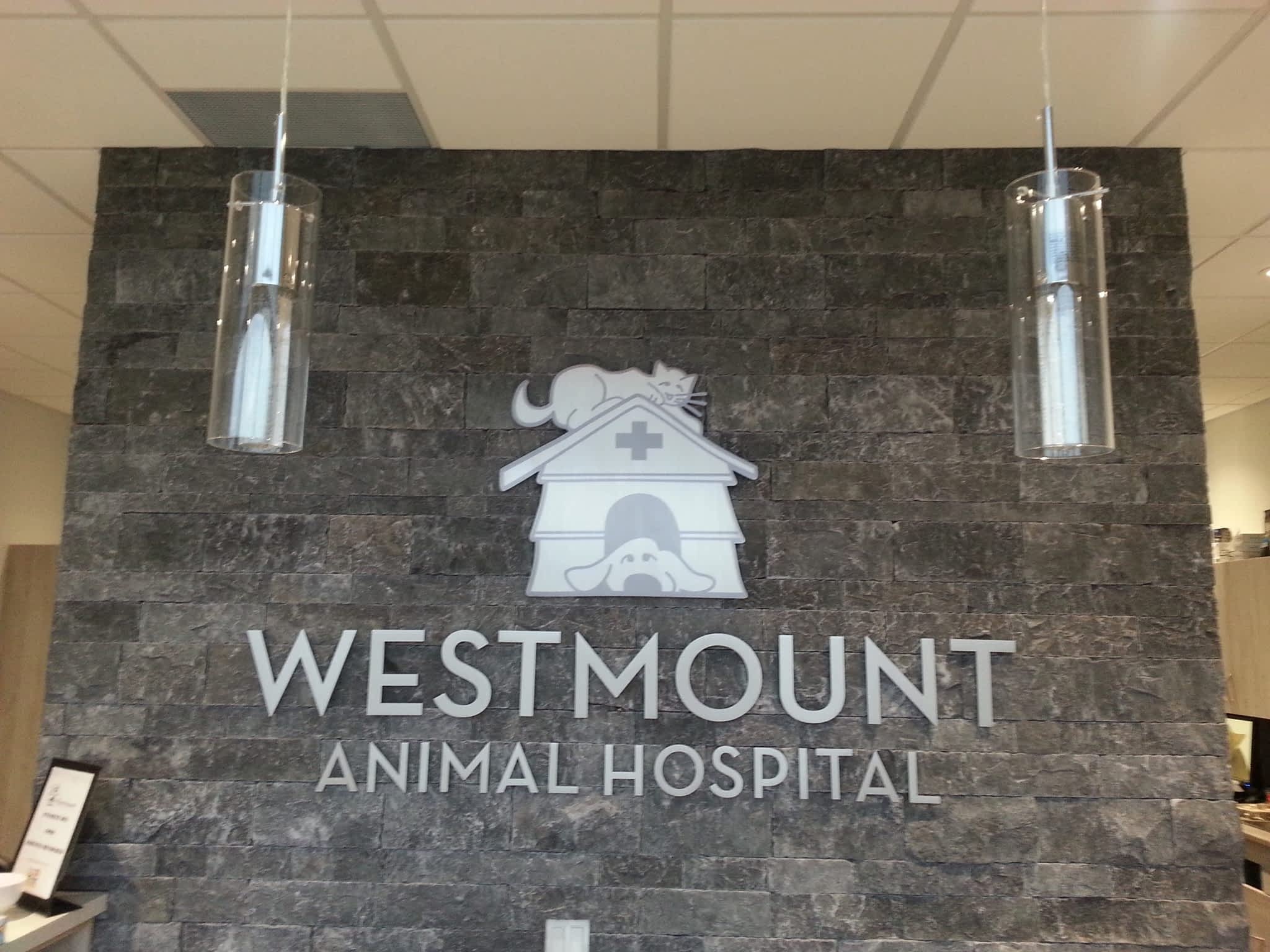 photo Westmount Animal Hospital