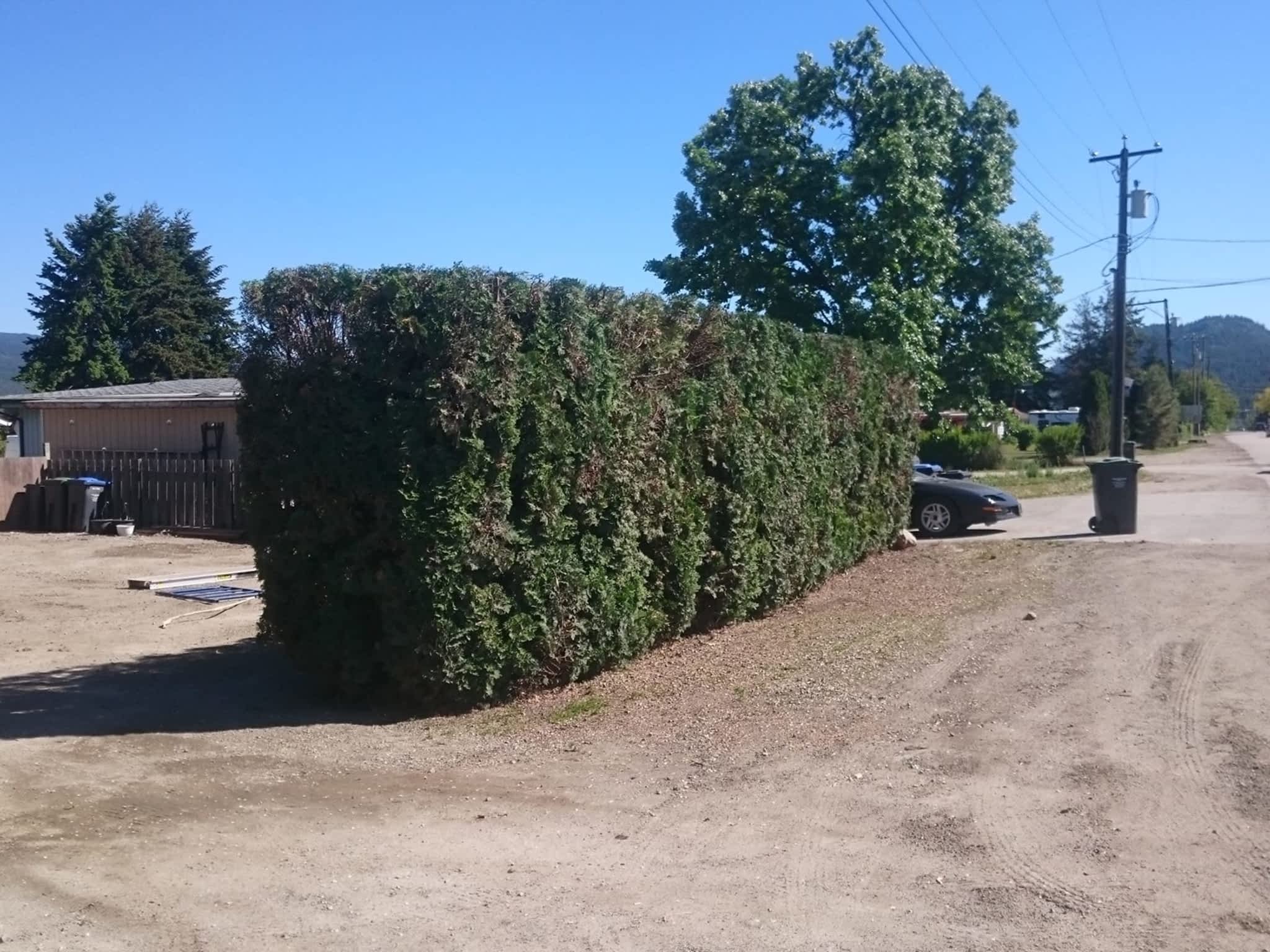 photo Strong Roots Landscaping