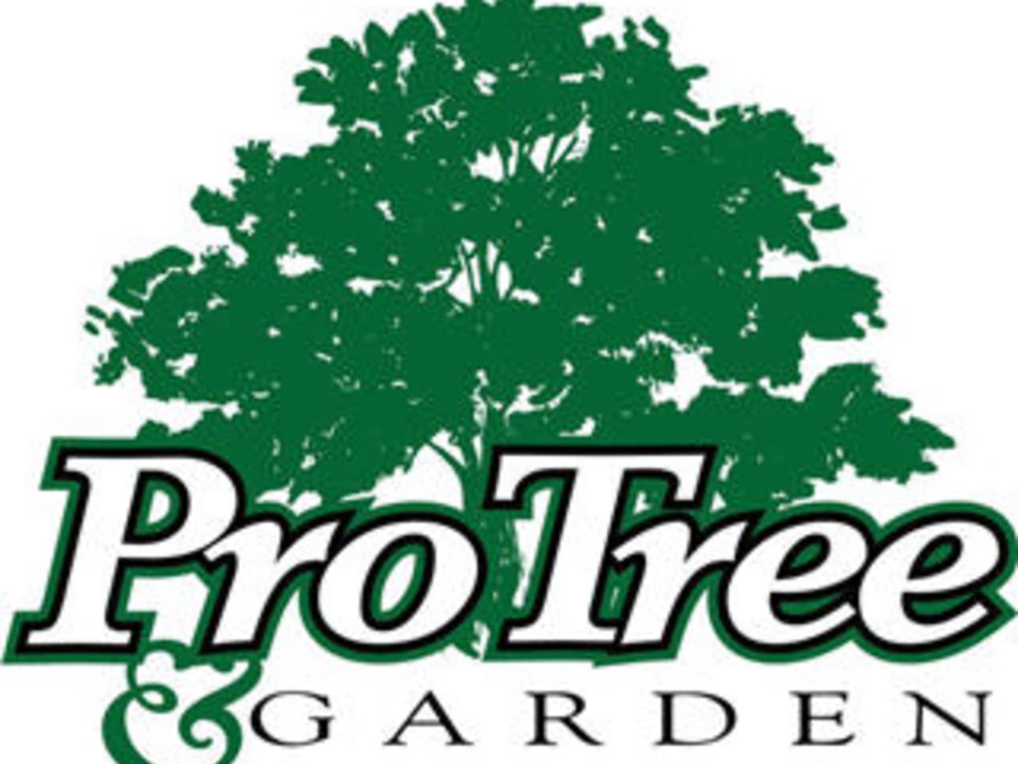 photo Pro Tree & Garden