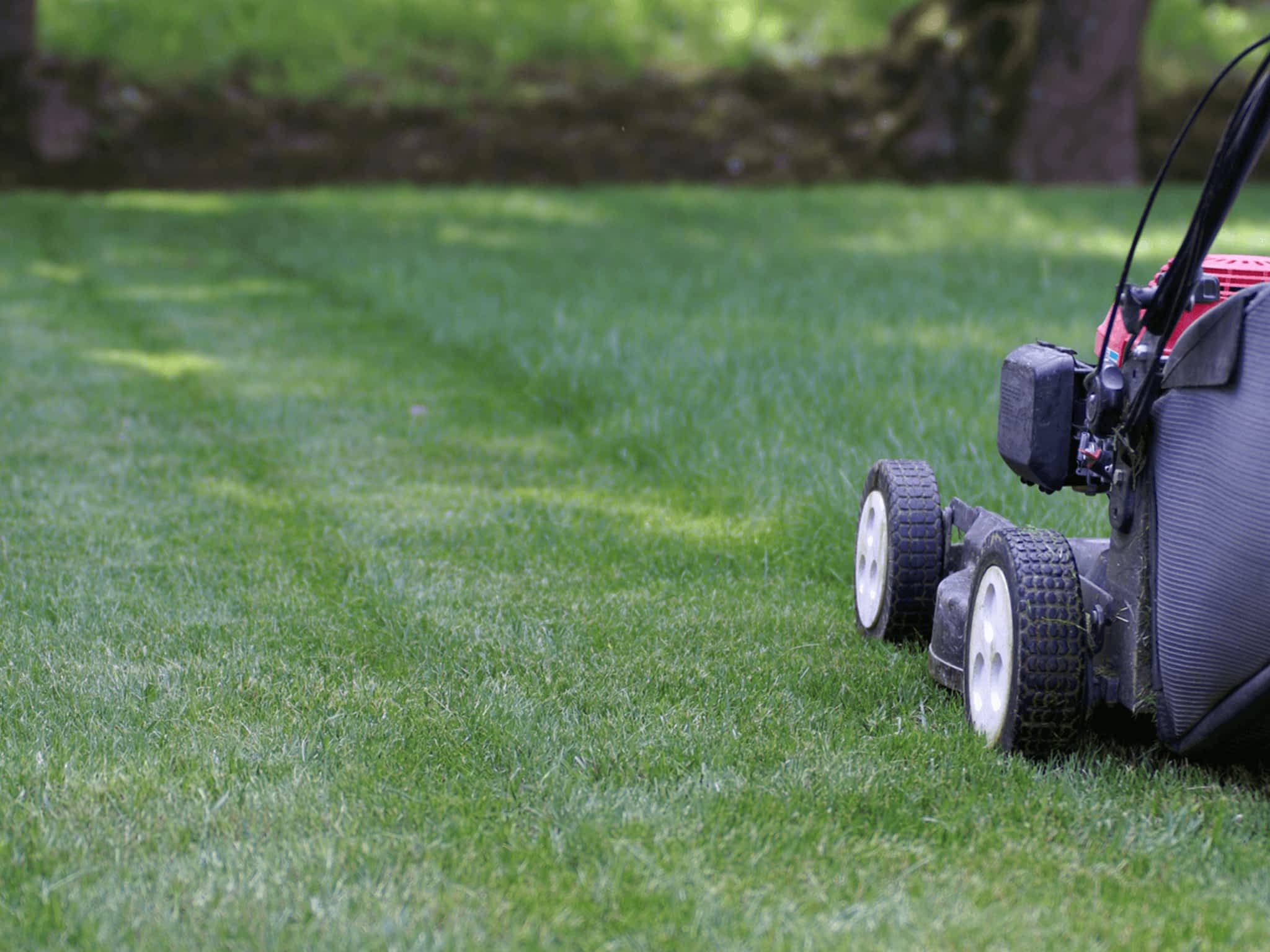 photo Green Scholars Lawn Care