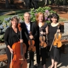 Armadillo String Quartet - Musicians