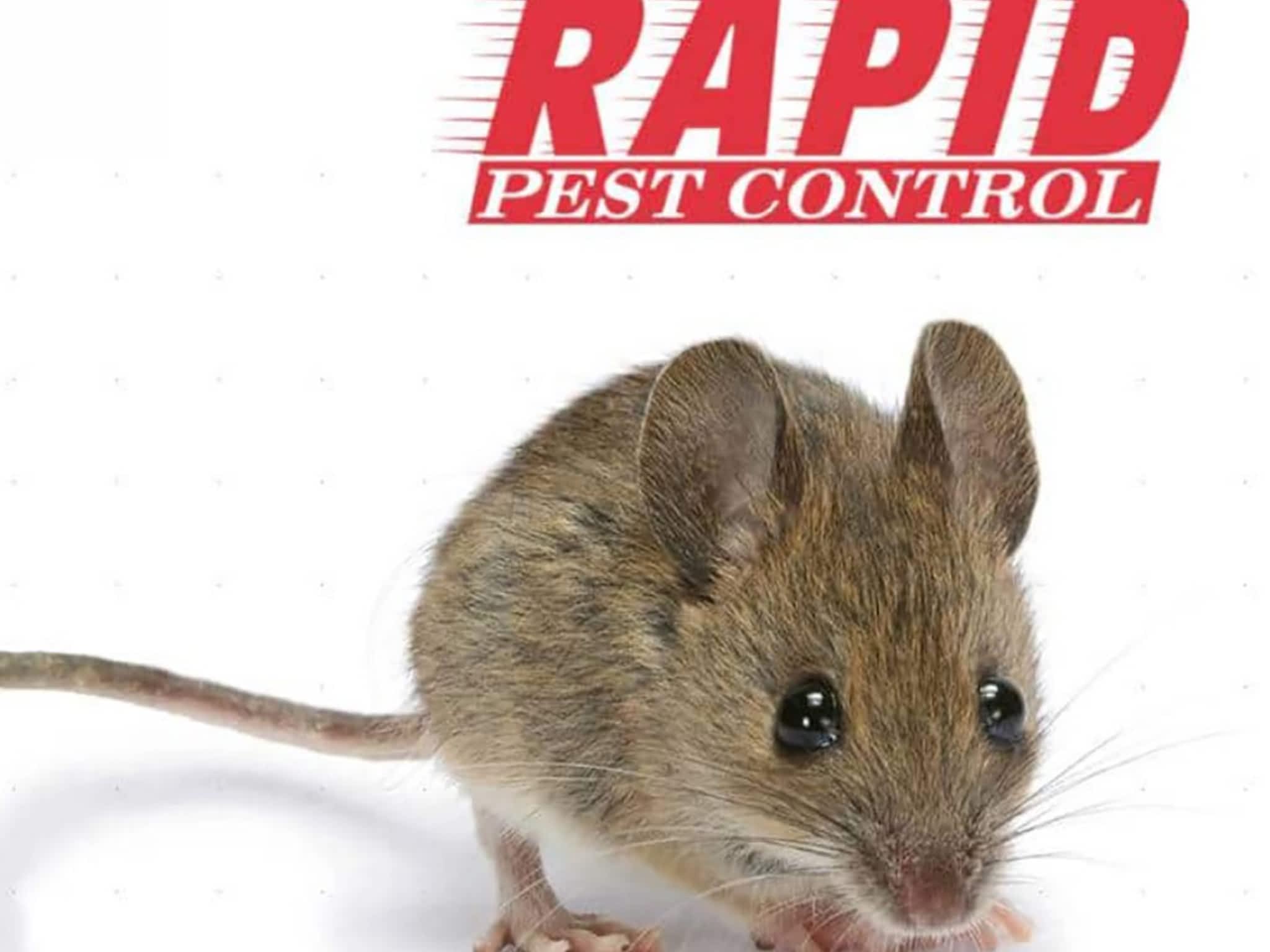 photo Rapid Pest Control Inc