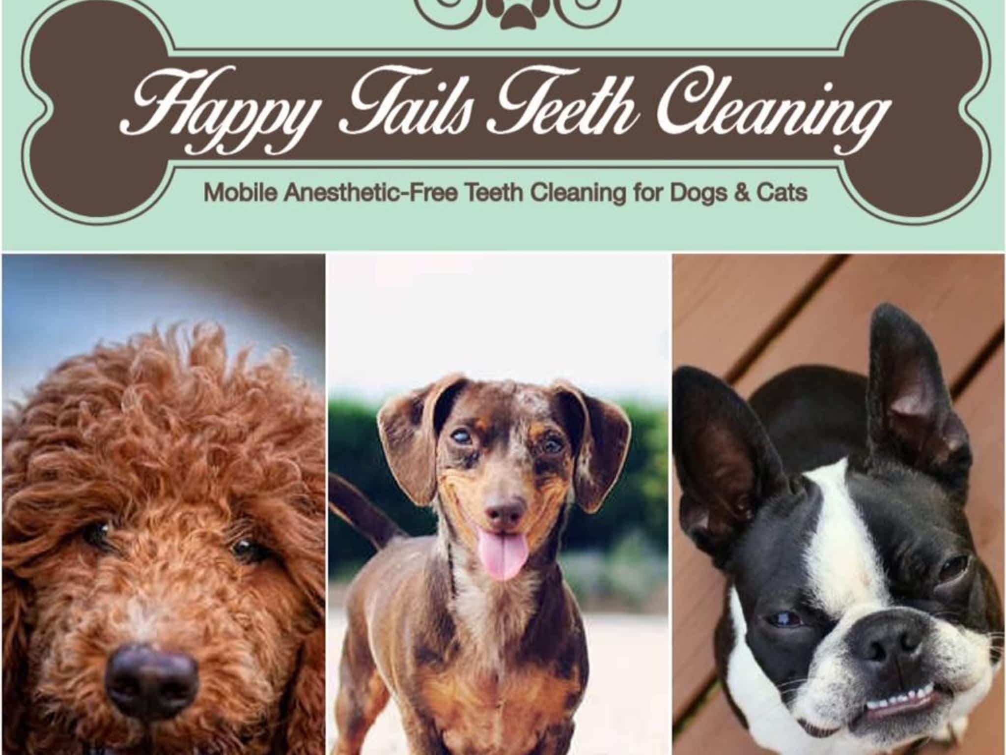 photo Happy Tails Teeth Cleaning