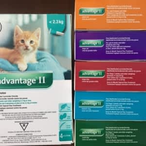 Veterinarians In Bright On Yellowpages Ca