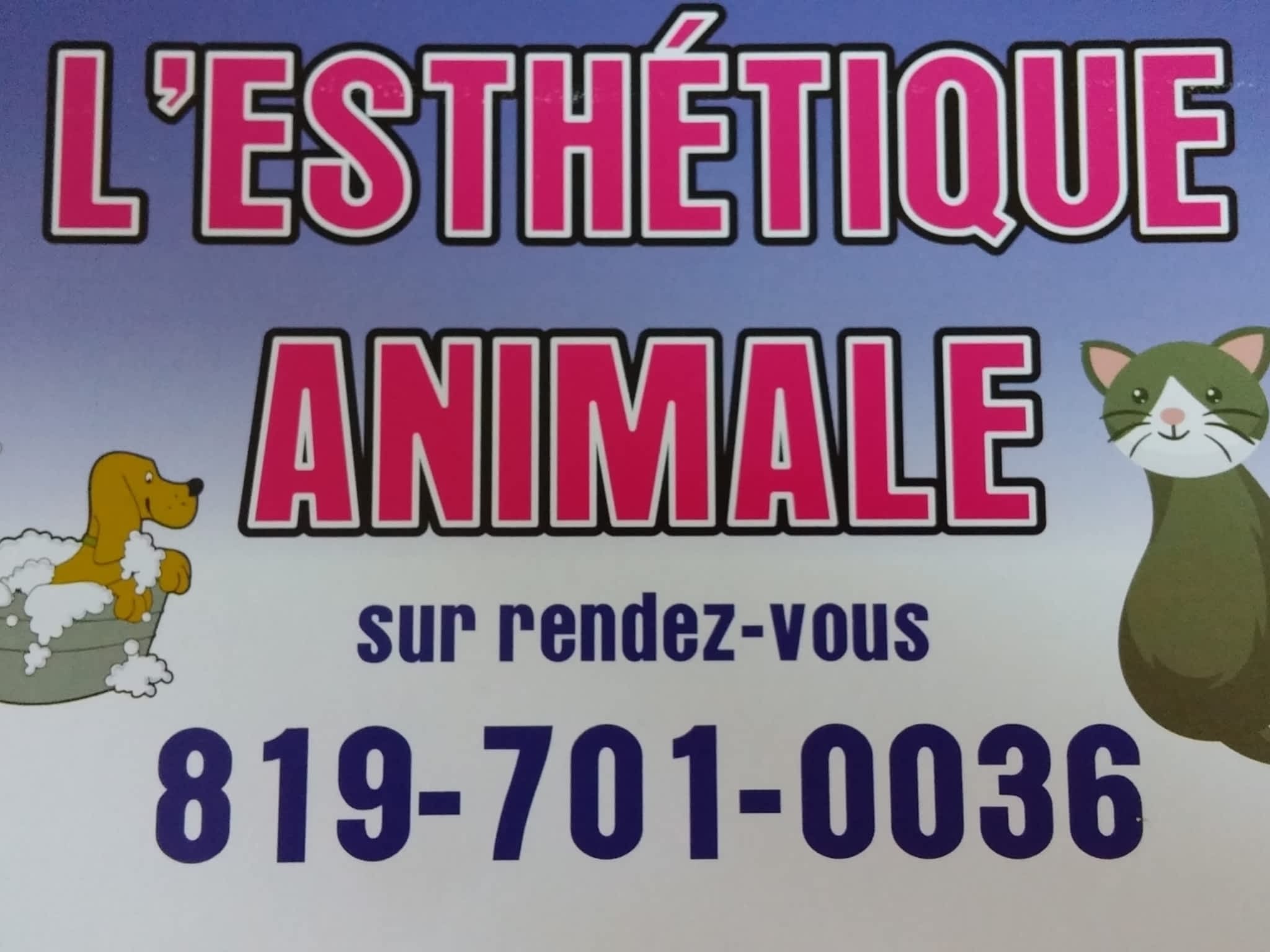 photo L'Esthétique Animale