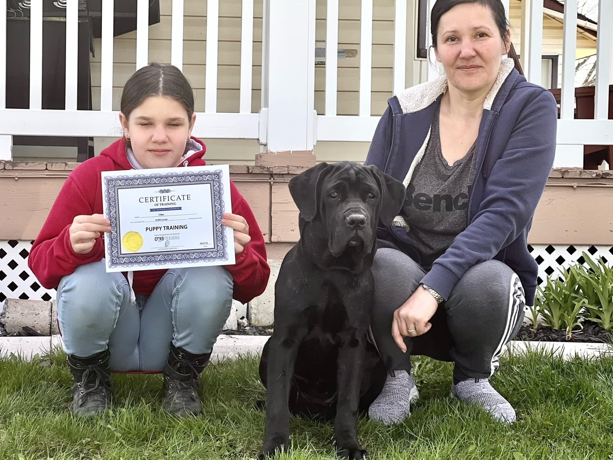 photo Command Control K-9