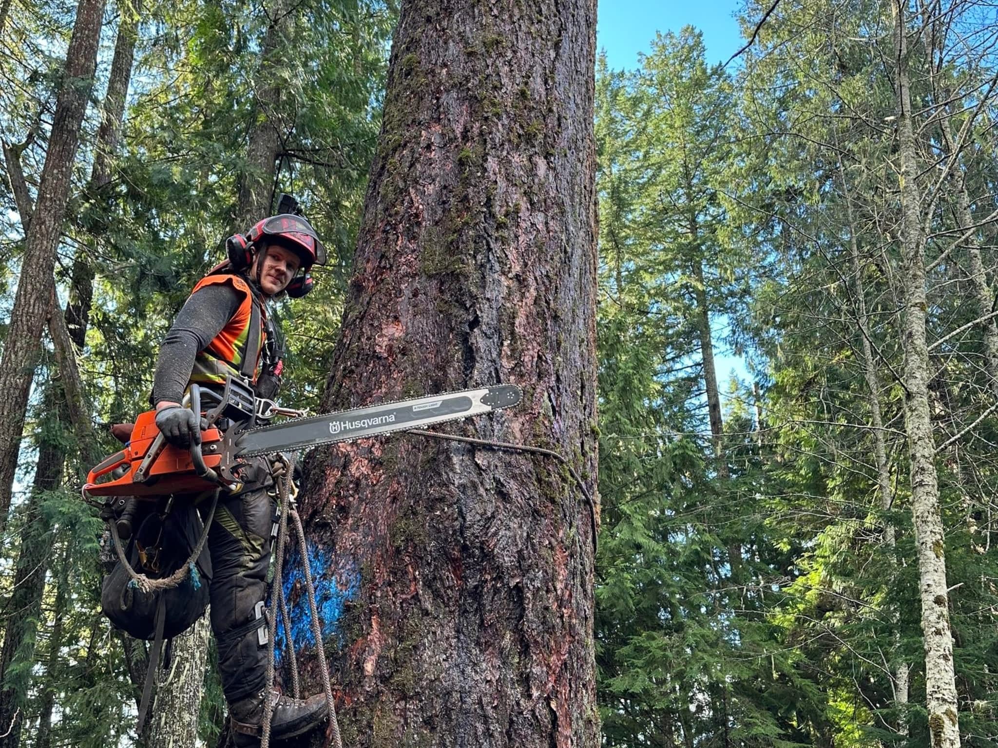 photo Valhalla Falling & Tree Services