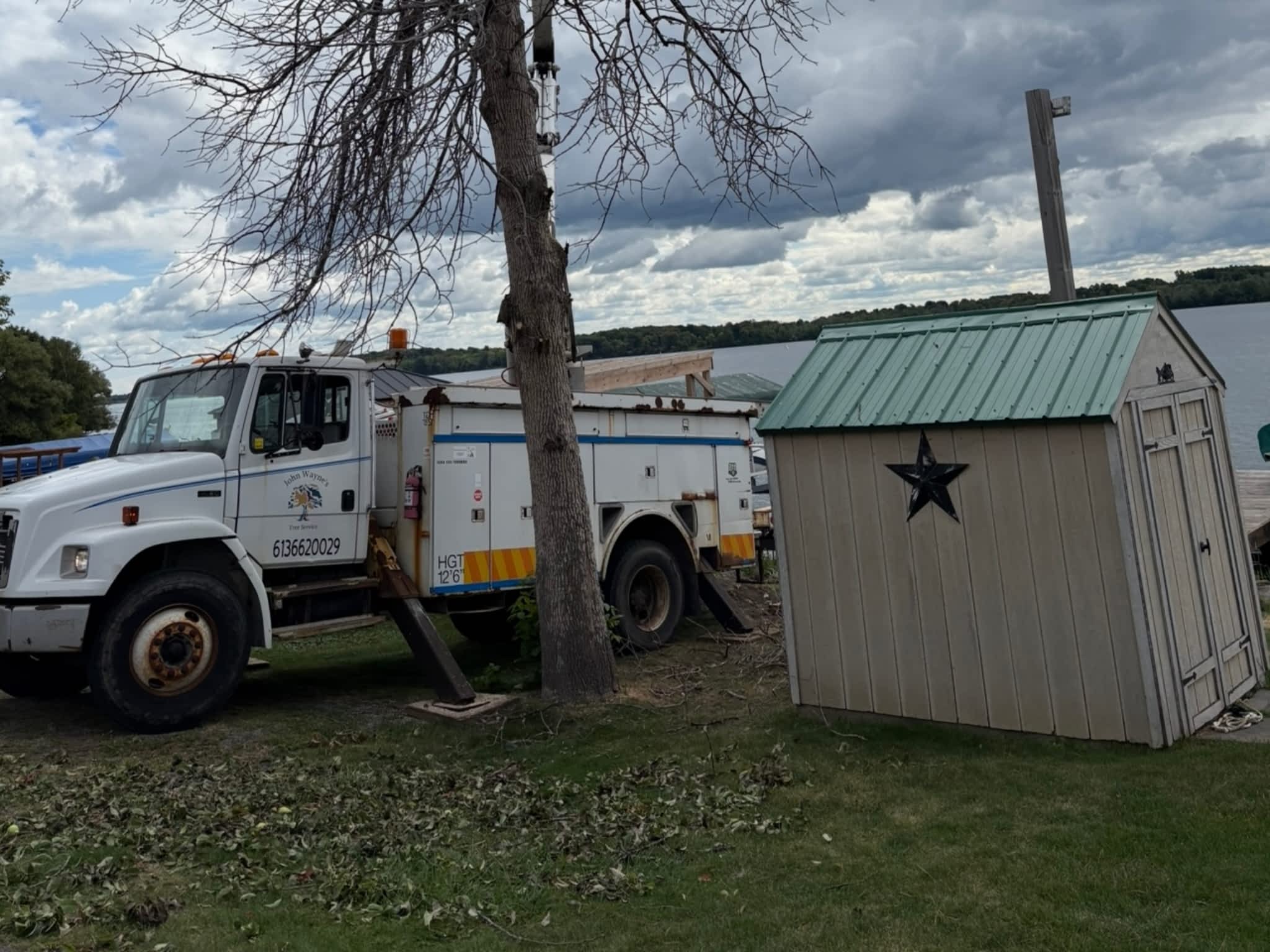 photo John Wayne's Tree Service