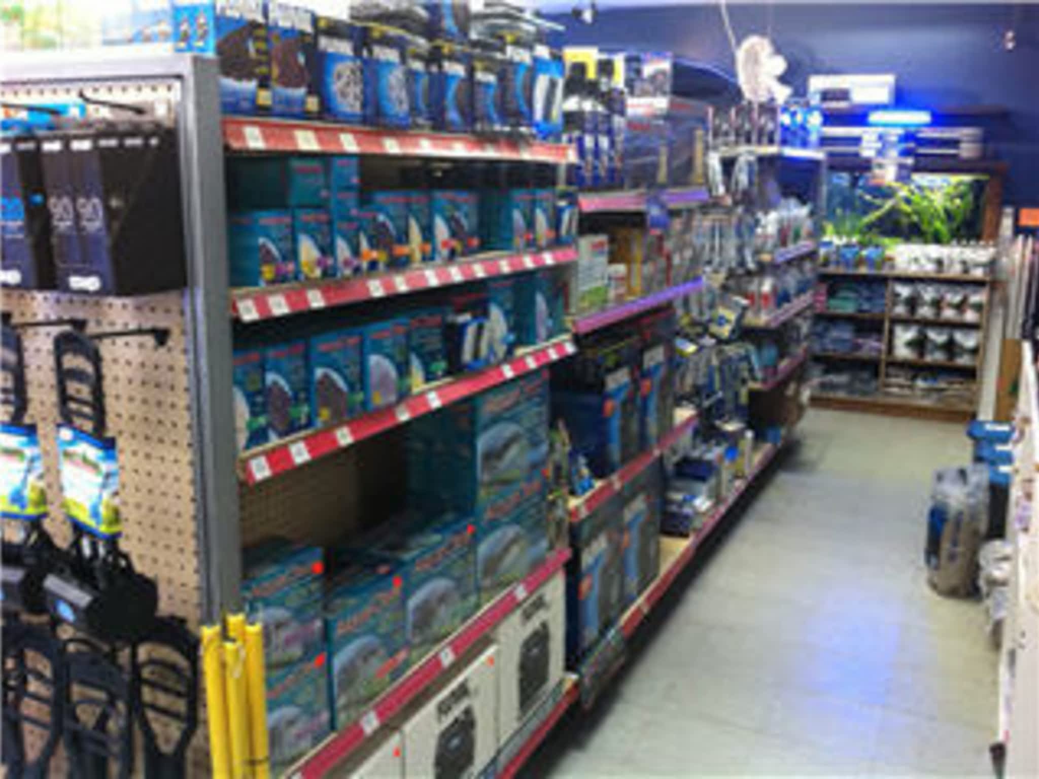 photo AJ's Pets & Things