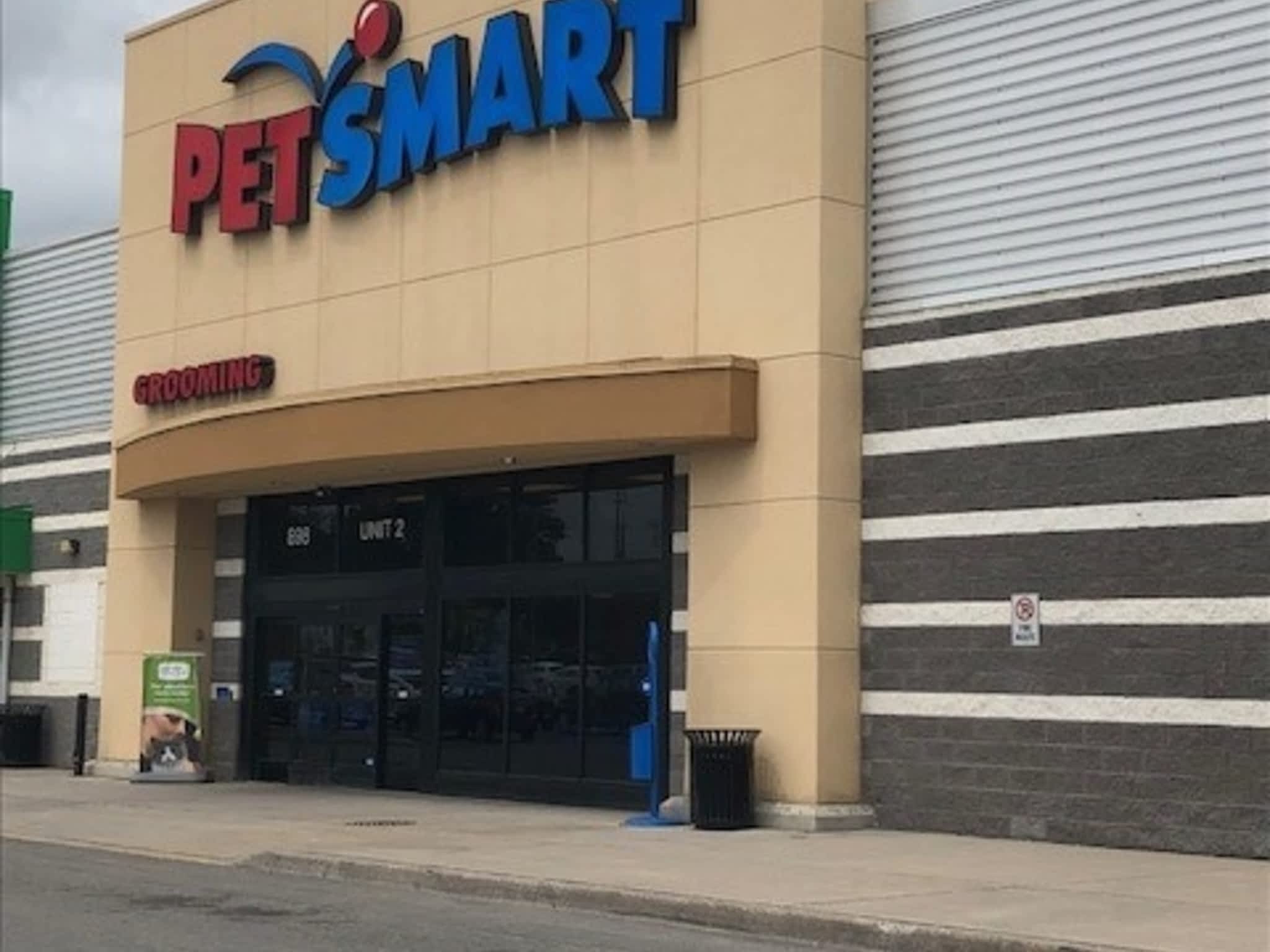 photo Healey Electric Ltd