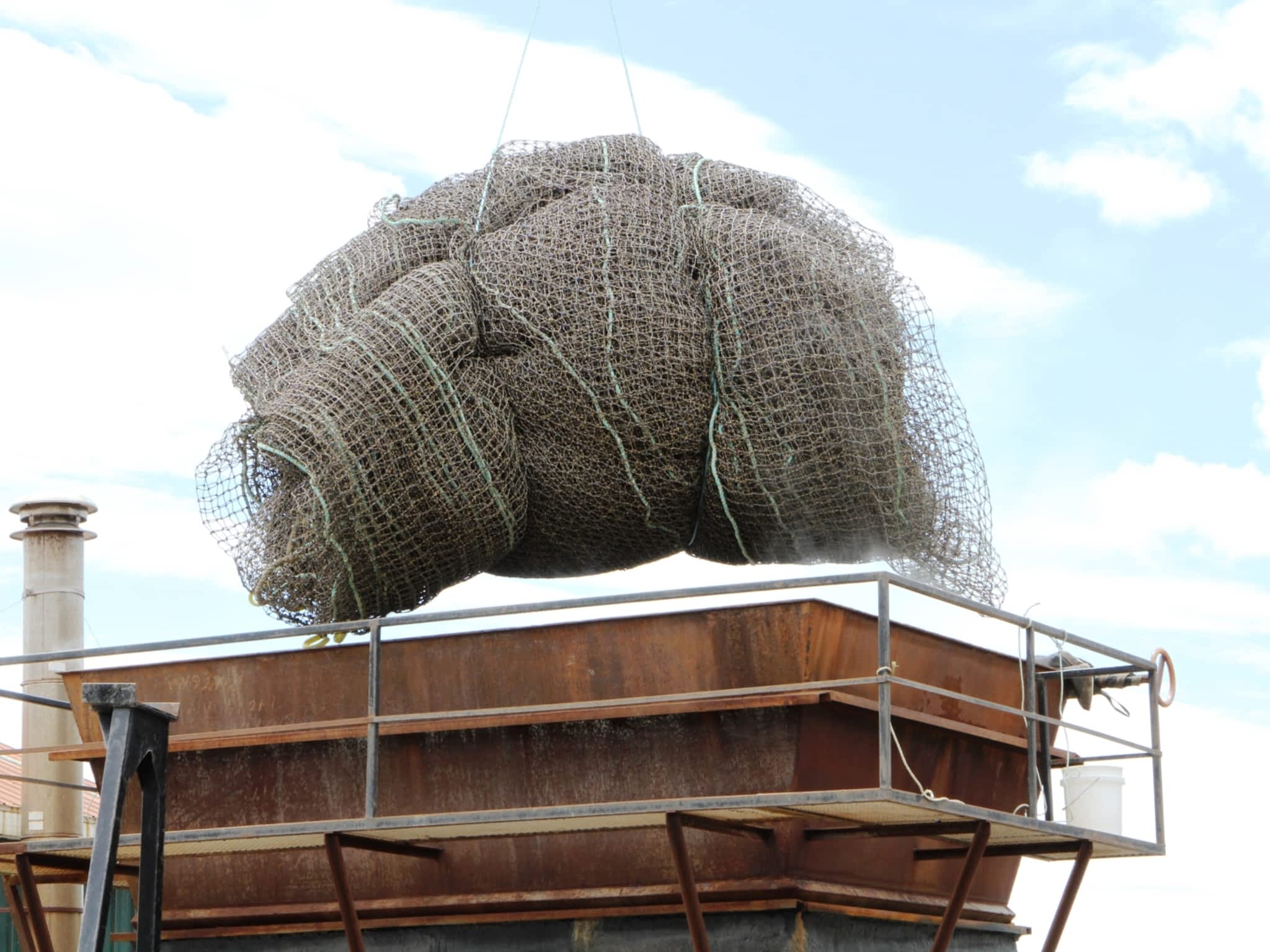 photo Future Nets Crane Service