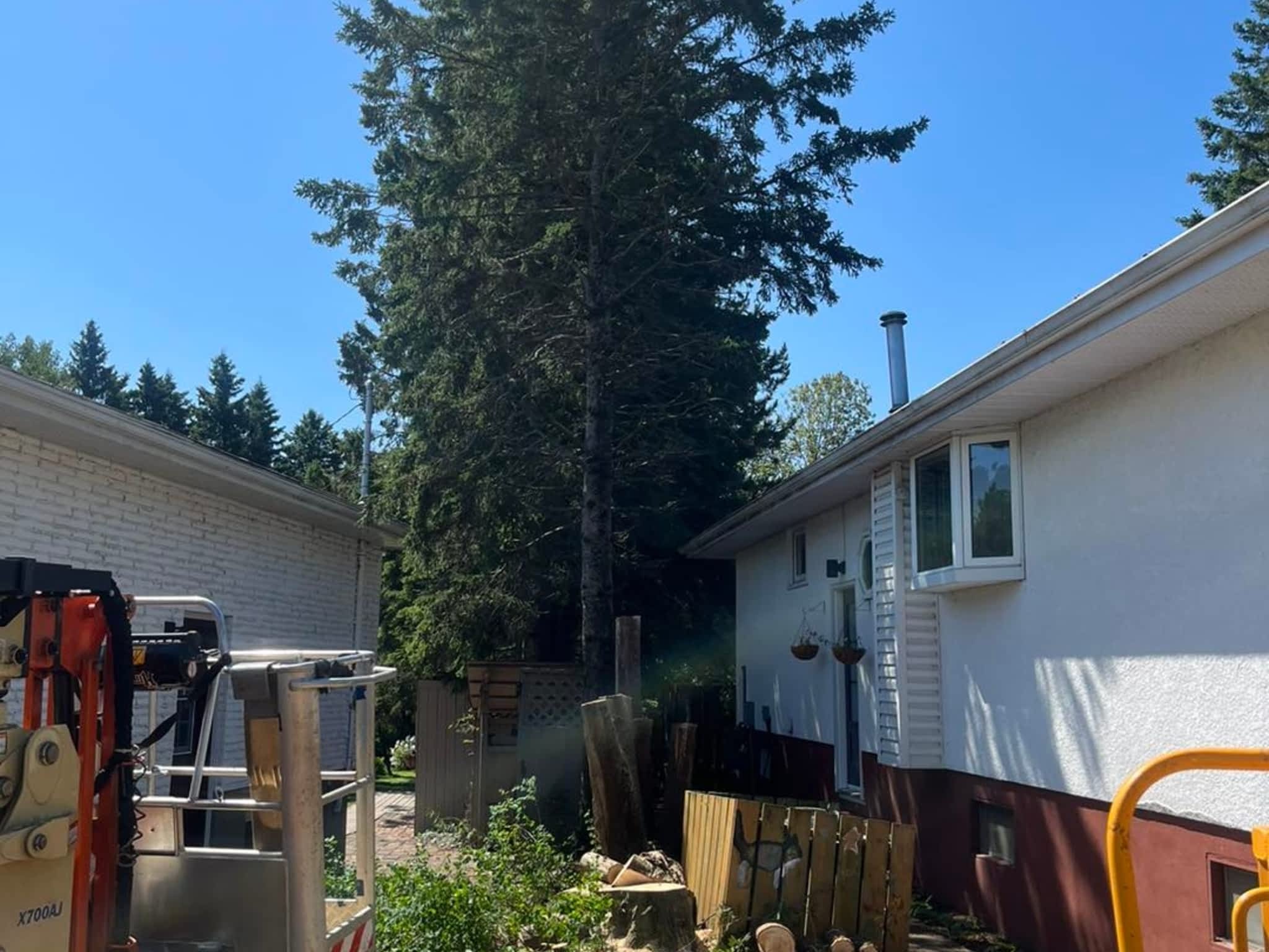 photo Master Tree Service