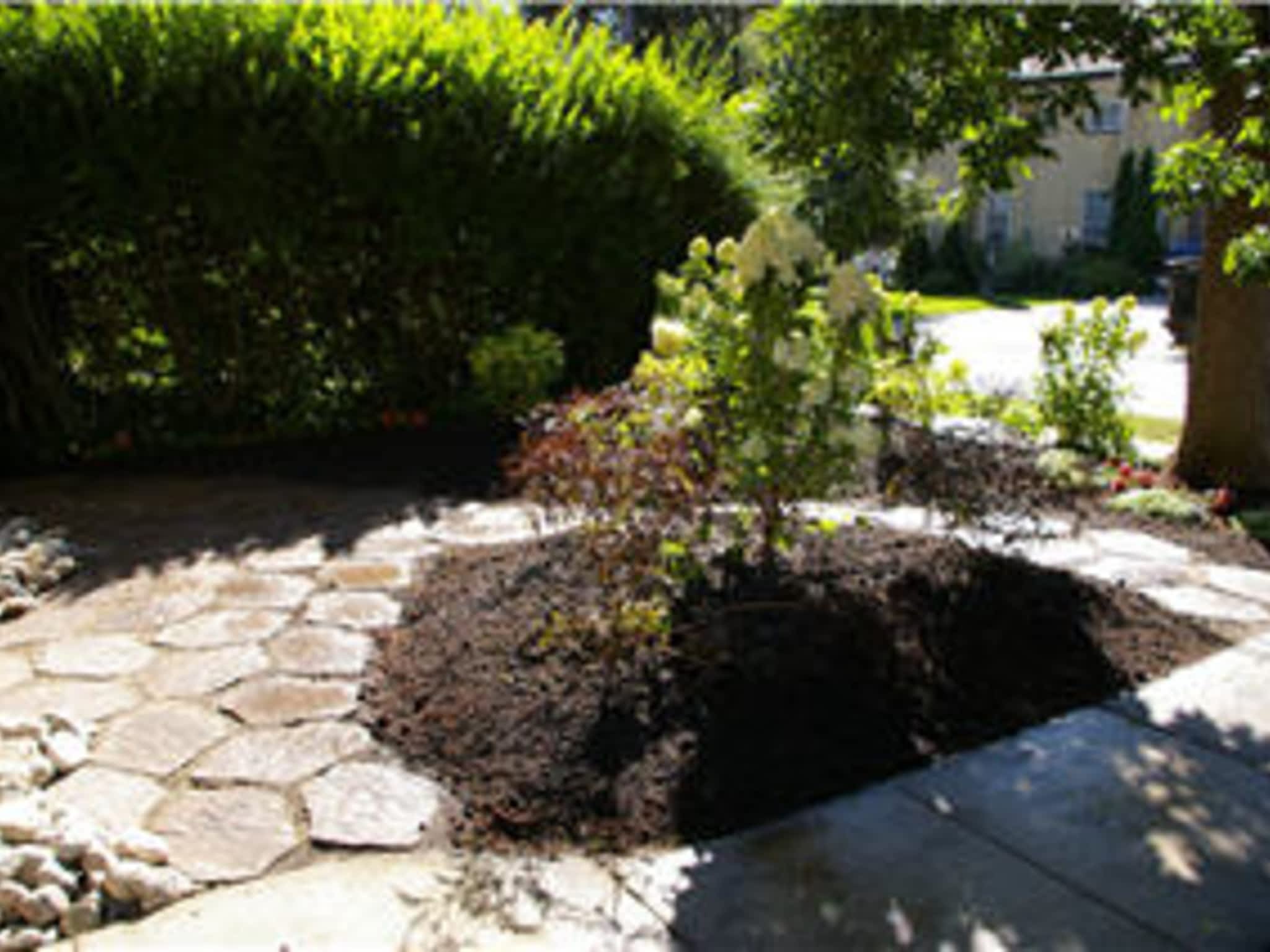 photo Harback Landscaping