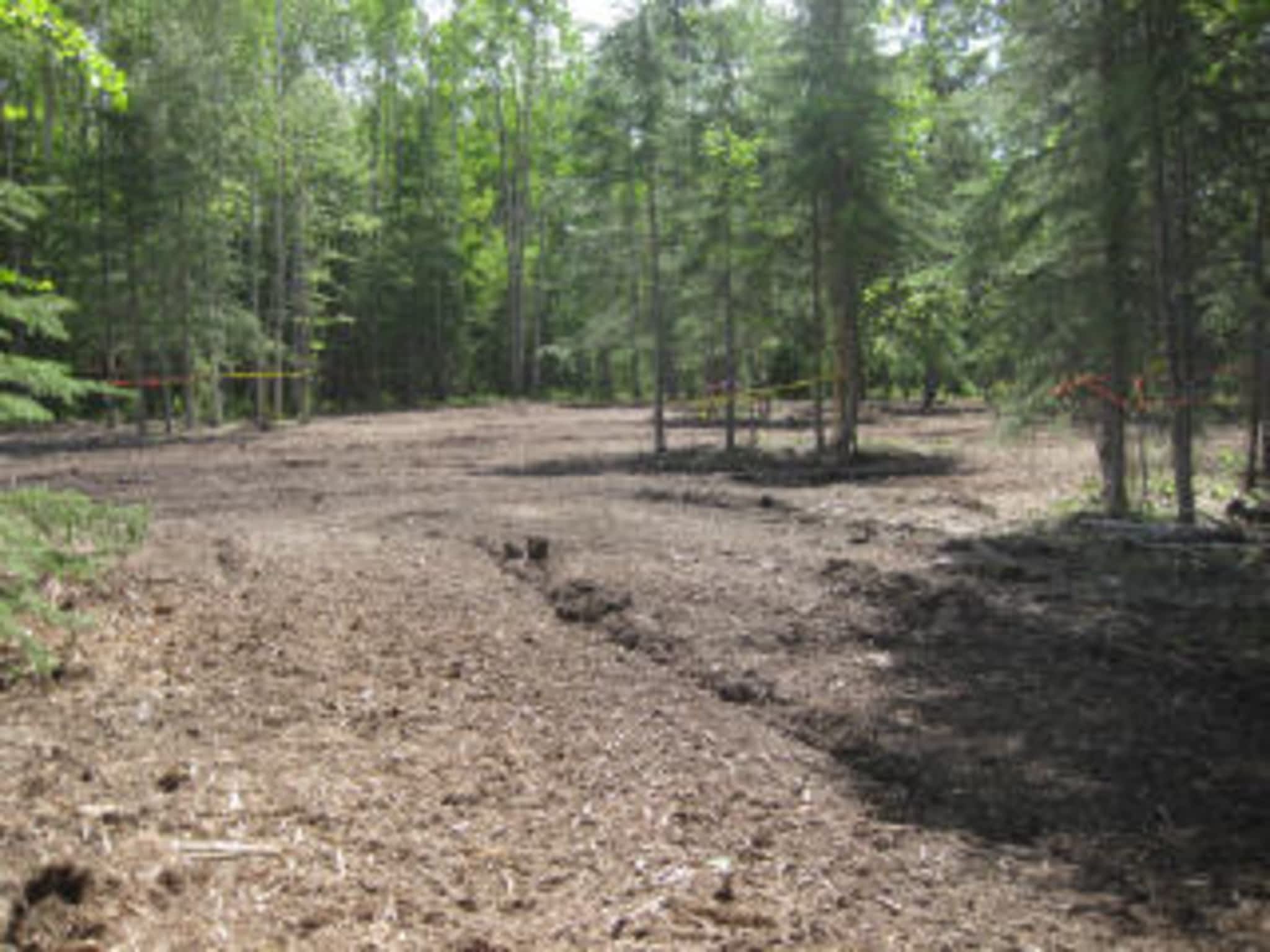 photo Saws'n Ladders