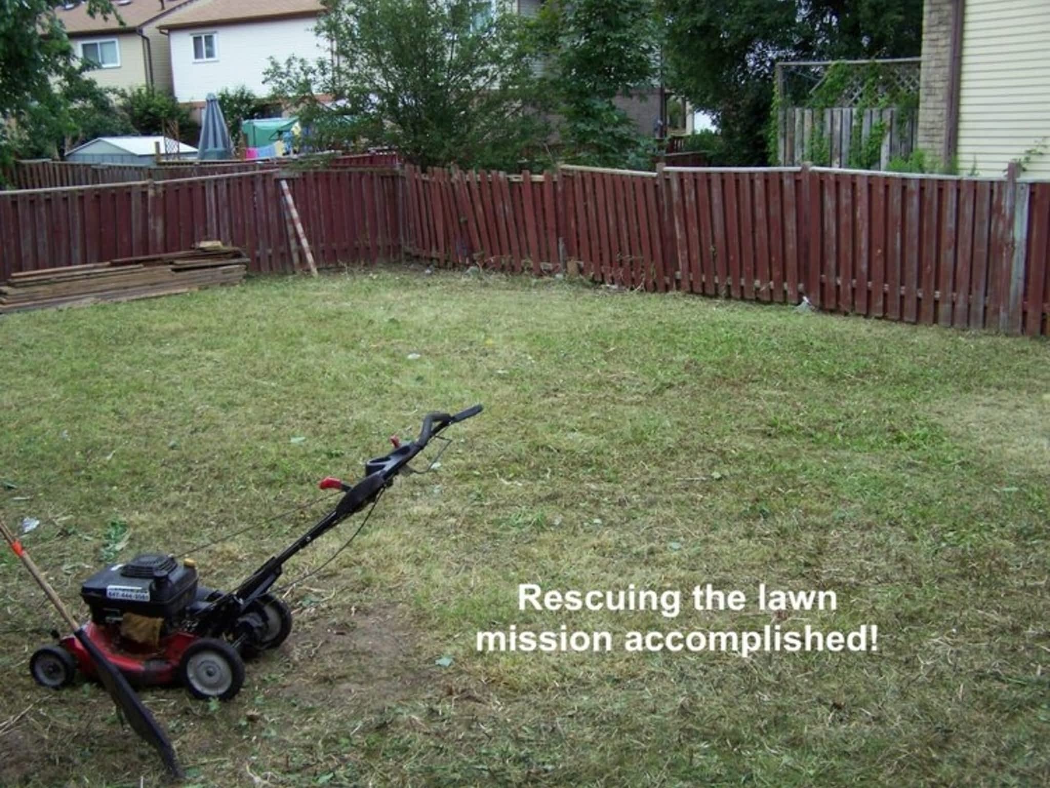 photo Lawn Wizard Tree & Property Maintenance