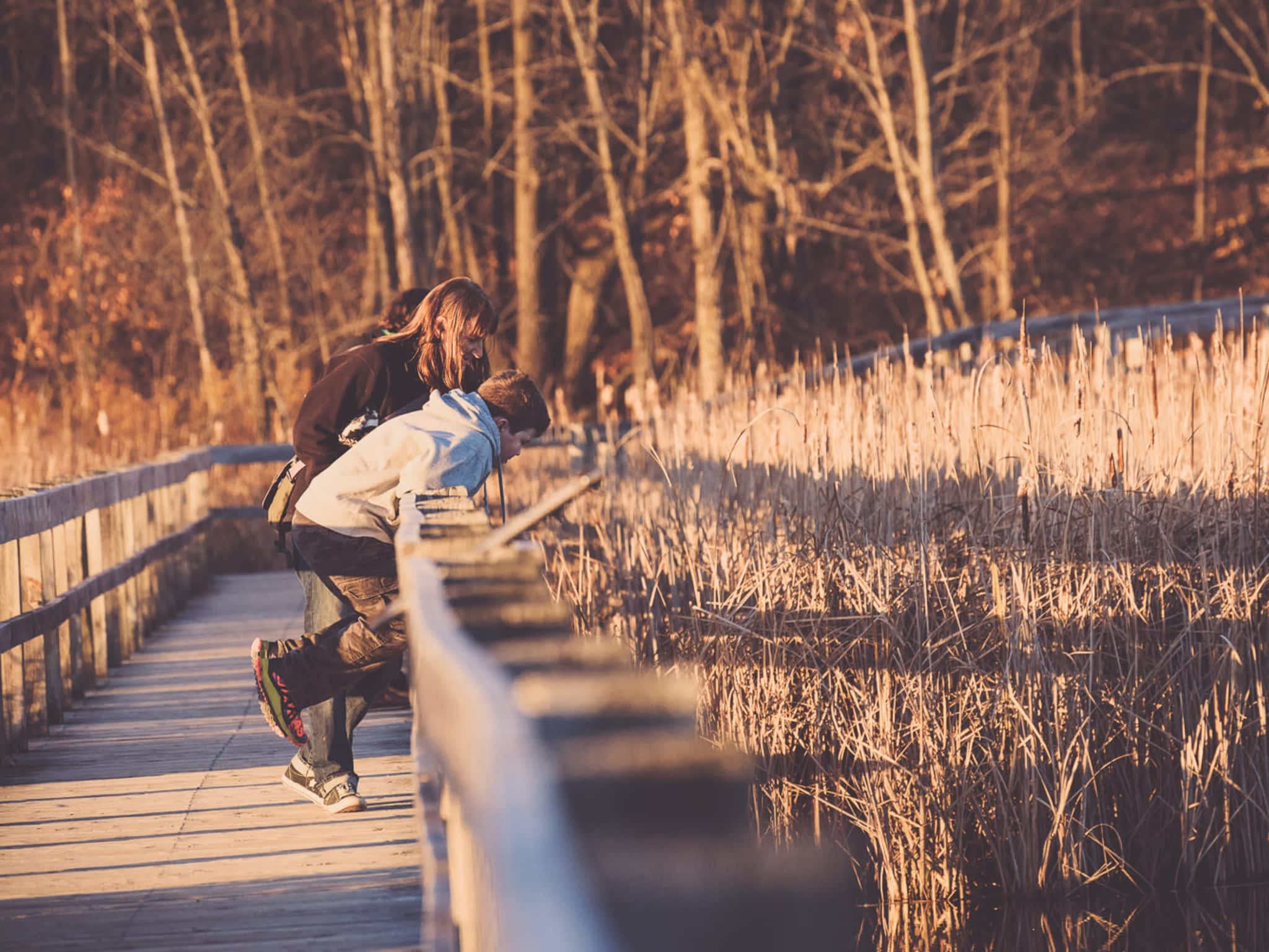 photo Tammy Bouchard Photography