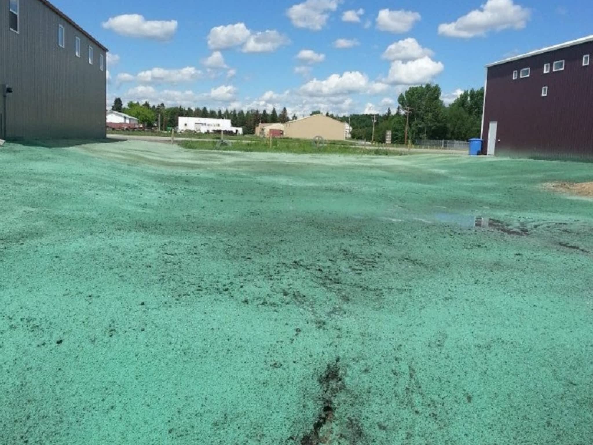 photo Wetaskiwin Hydroseed