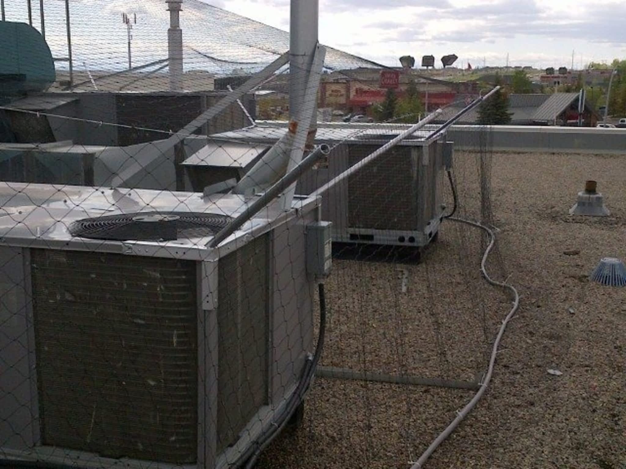 Absolute Pest Control Inc Canpages