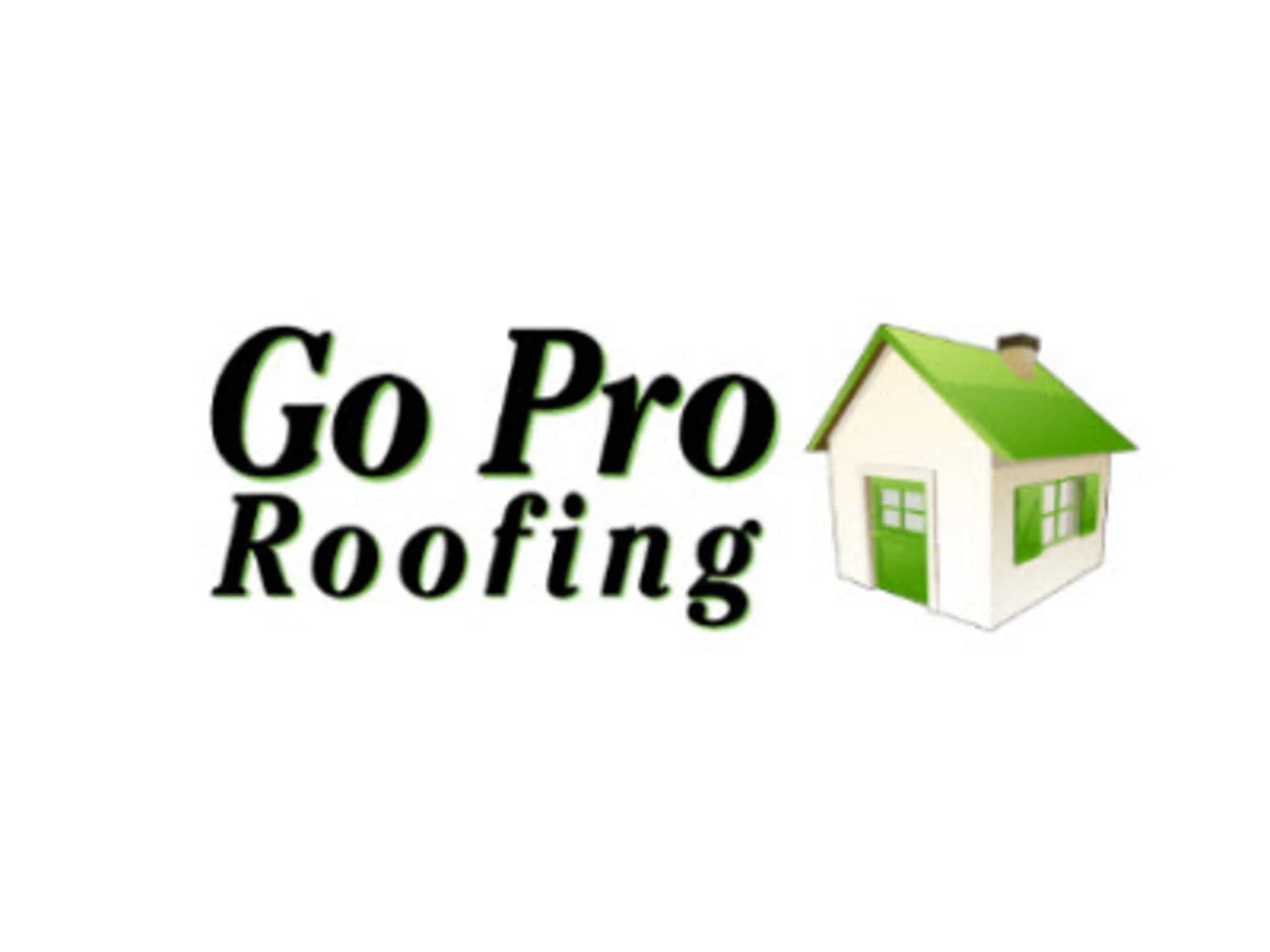 photo Go Pro Roofing