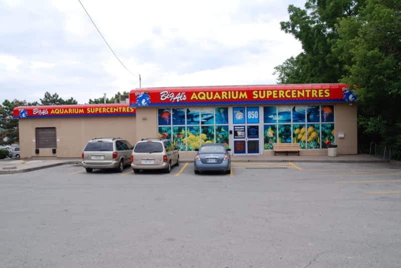 Big Al s Aquarium Supercentres Opening Hours 441 Chrislea Rd Woodbridge ON