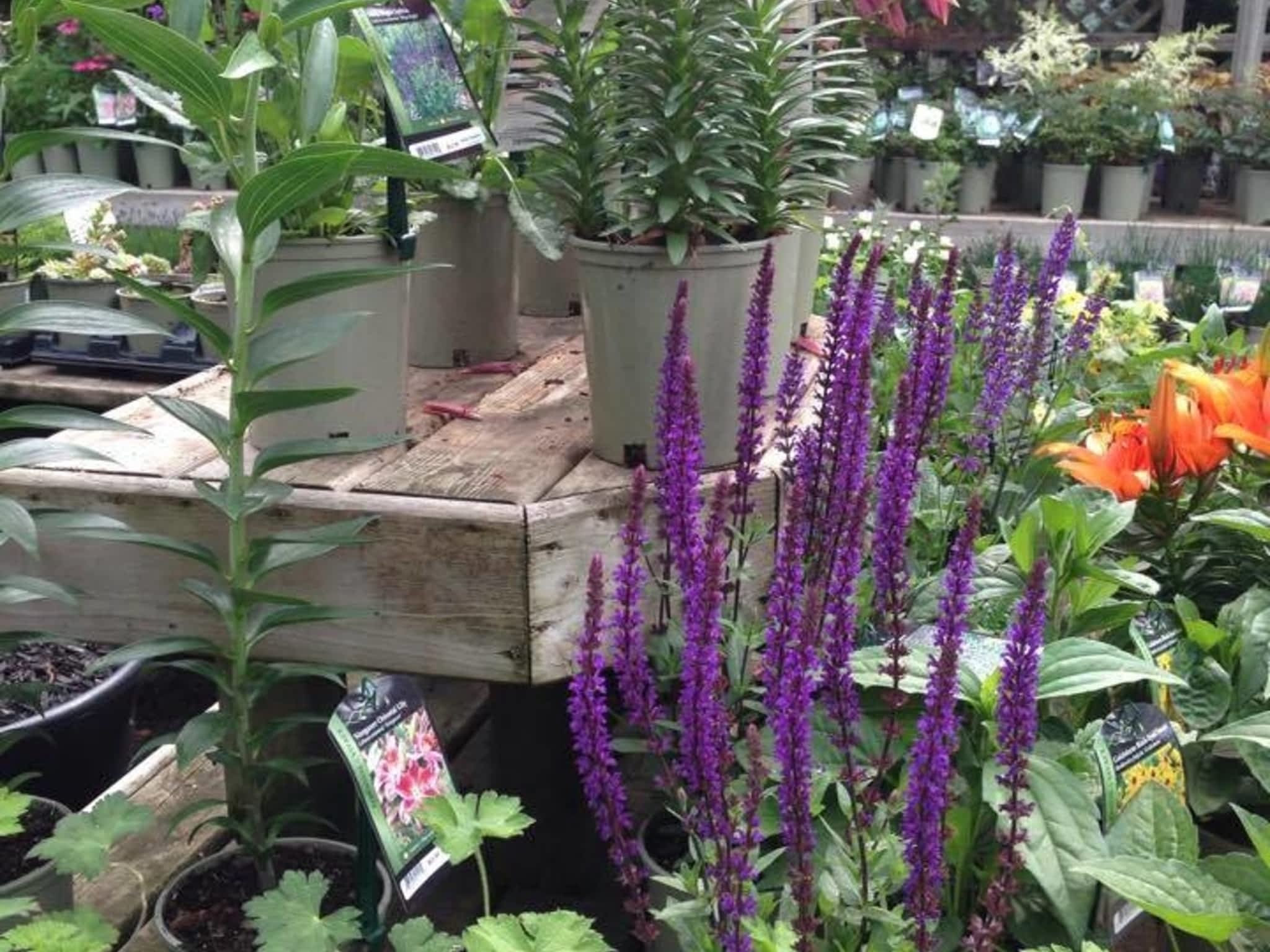 photo Gauld Nurseries Ltd