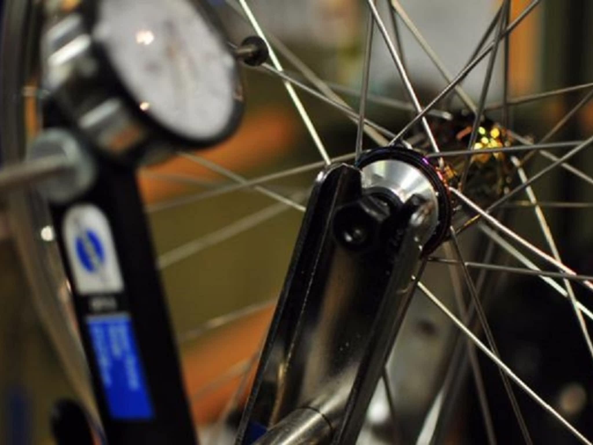 photo Elemental Cycle