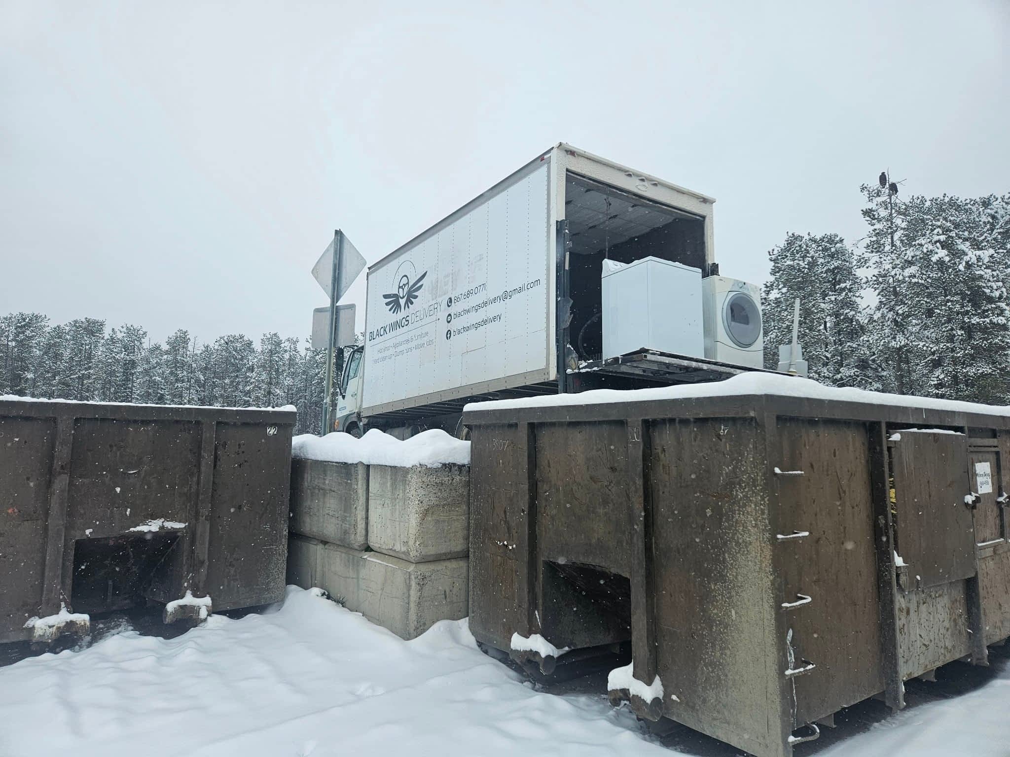 photo Black Wings Delivery