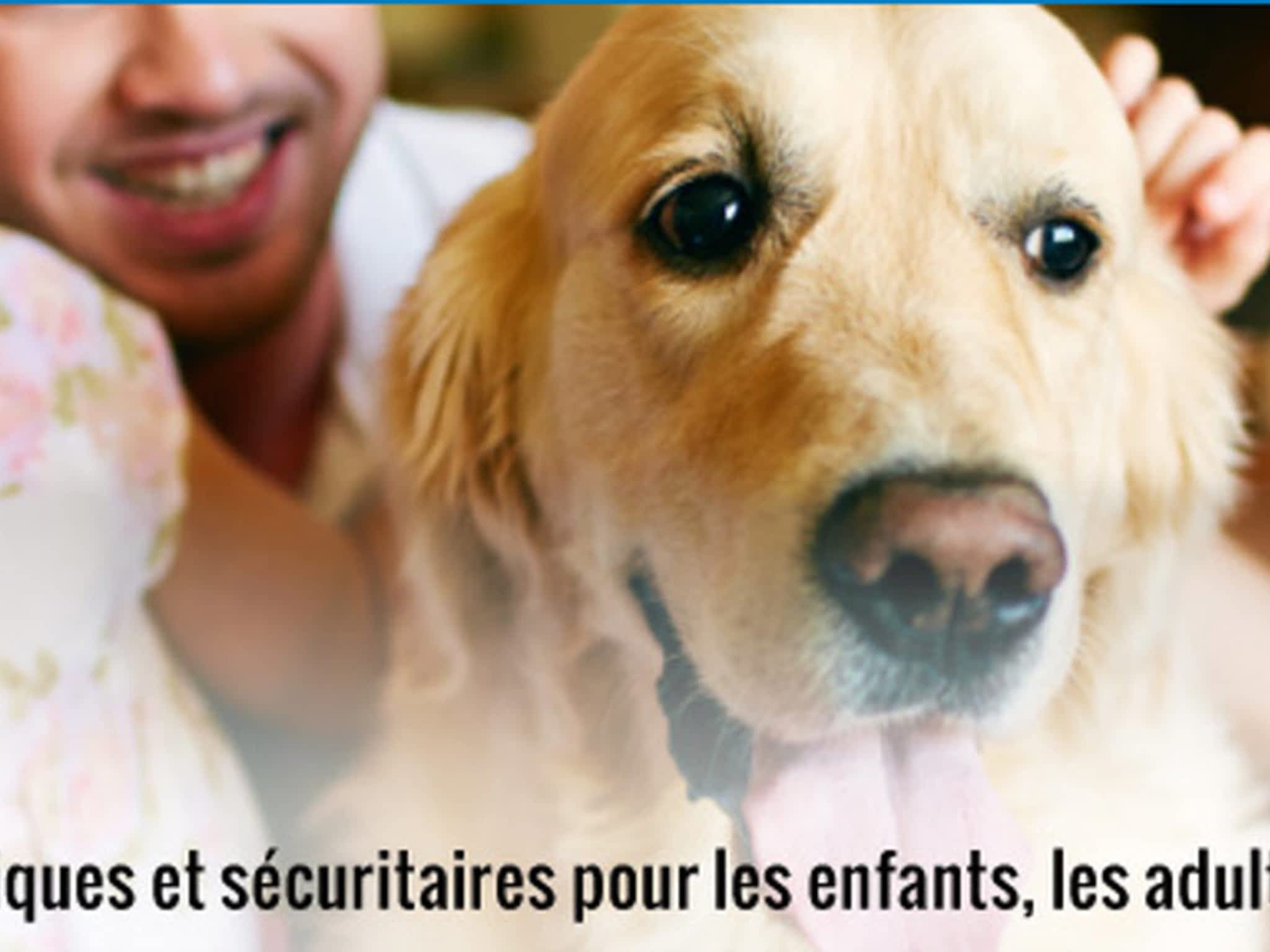 photo Extermination Dynamique