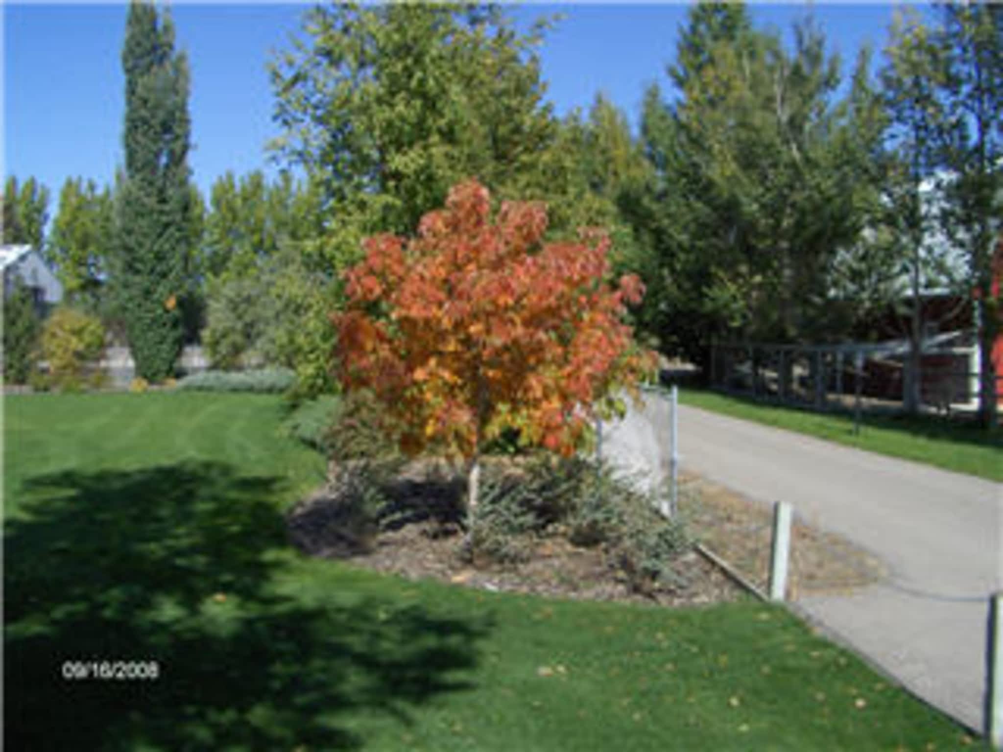 photo Simon Bos Nurseries