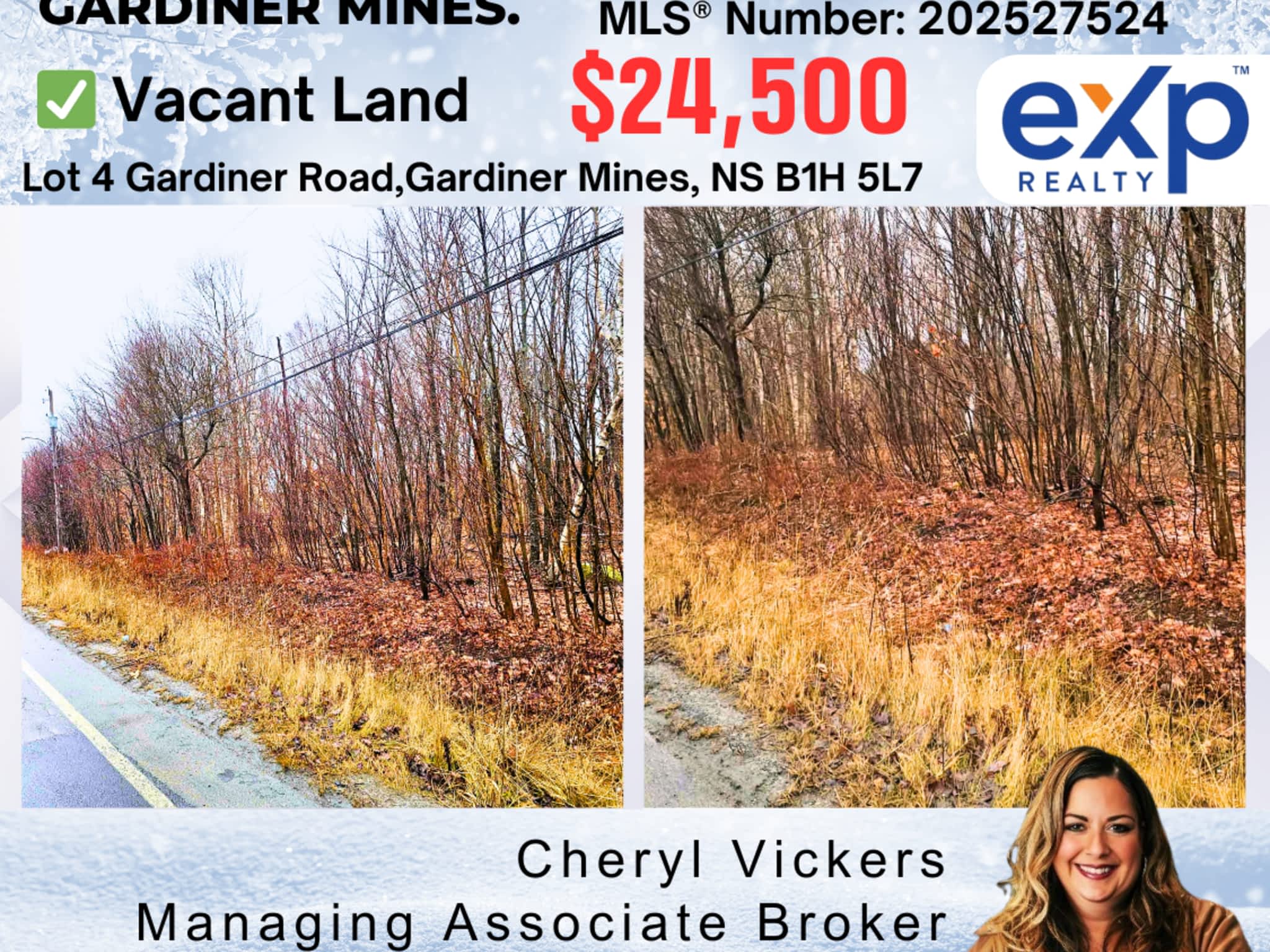 photo Cheryl Vickers - REALTOR® - Associate Broker