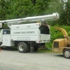 Fleming Tree Experts - Tree Service