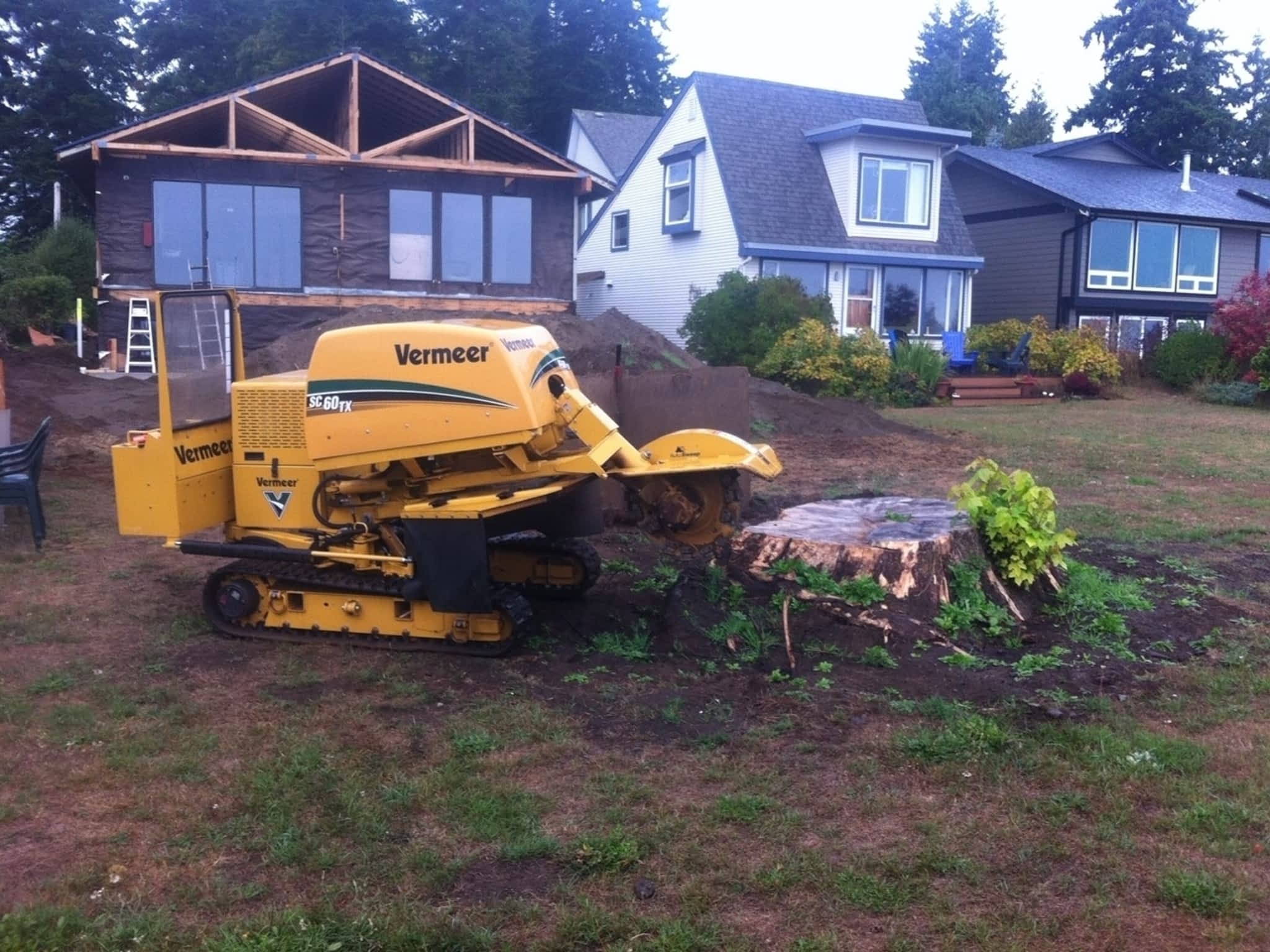 photo Above & Beyond Tree Service