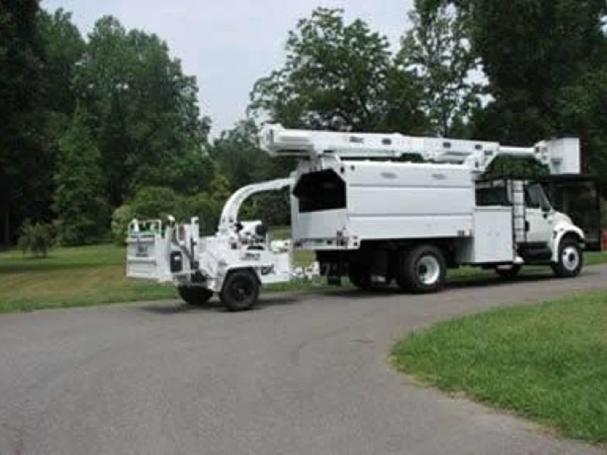 photo Complete Tree Care