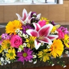 McKnight's Fashion Flowers Gifts - Gift Shops